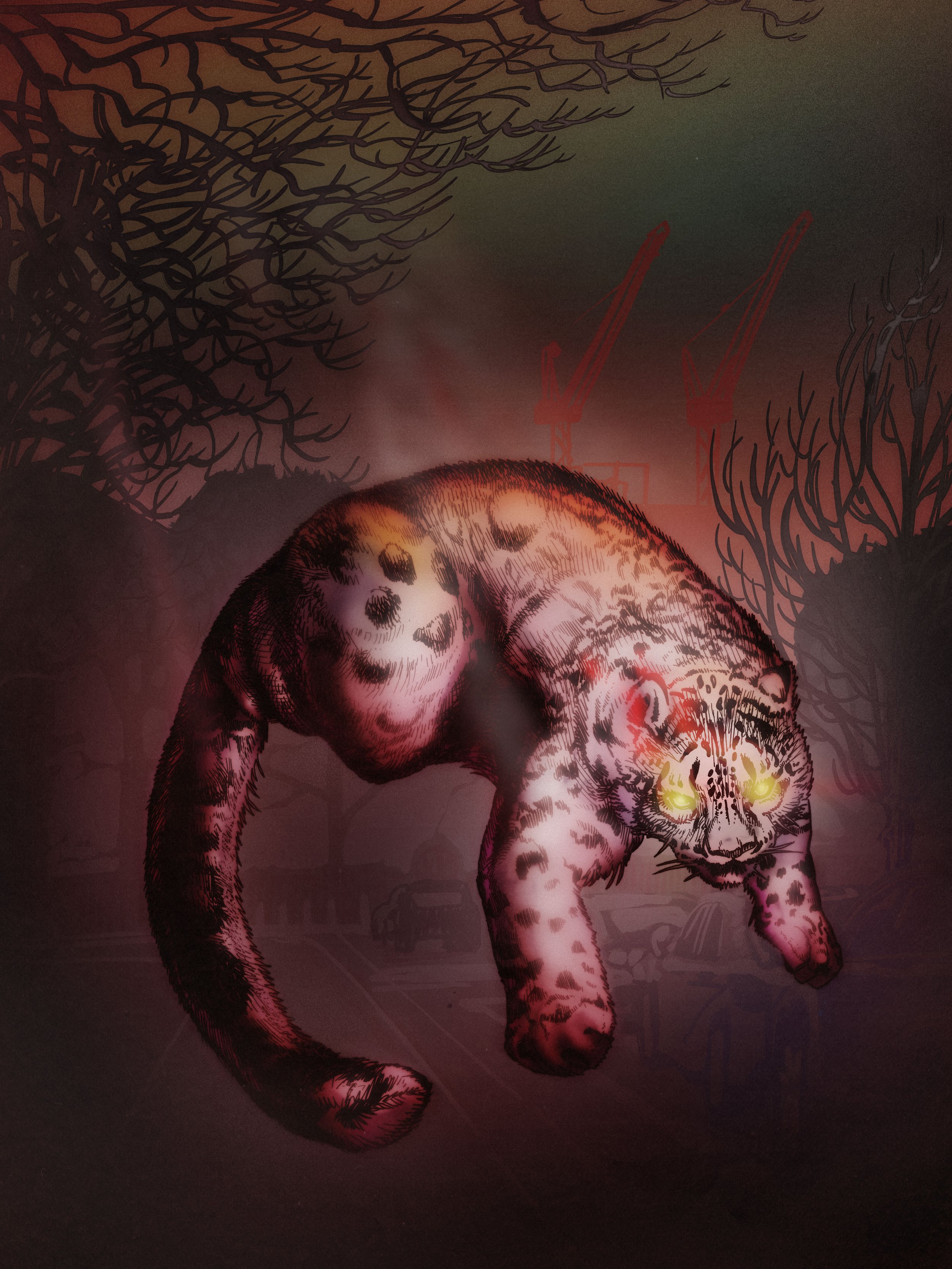 GHOST CAT.jpg