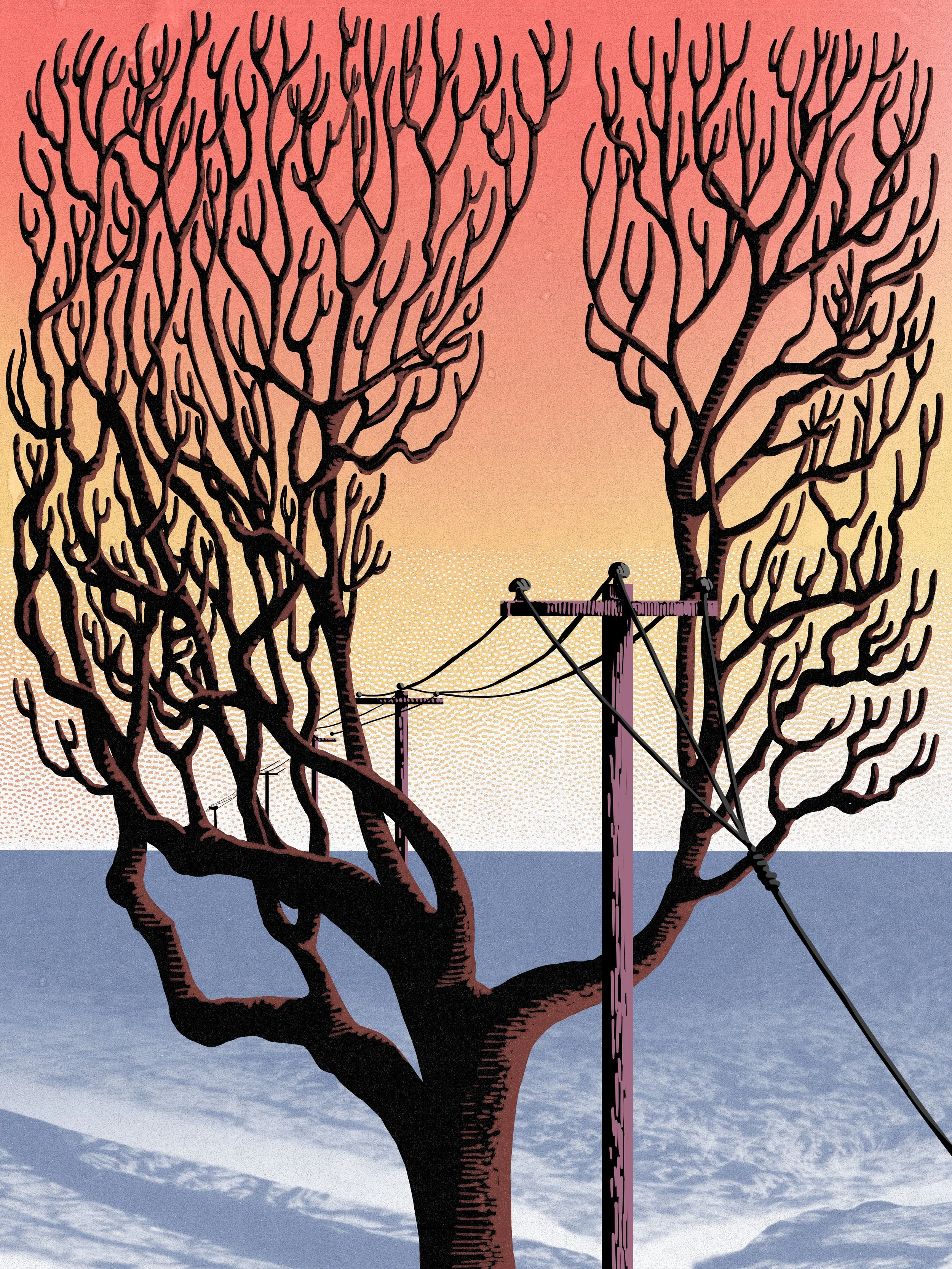 WIRED IN.jpg