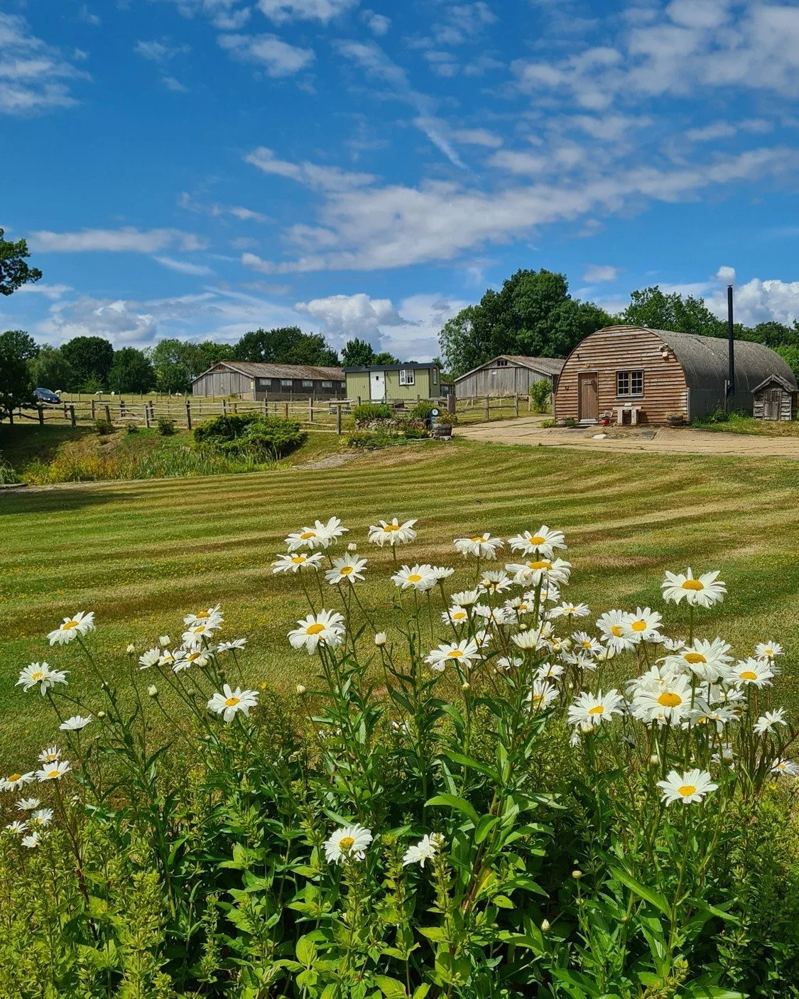 When our morning walk in Kent happens upon some lovely lakes and then a vineyard. The owner of the vineyard saw us looking around and opened his barn doors to offer us a wine tasting - and this before I'd even had breakfast 😄 
Thank you @oastwoodwin
