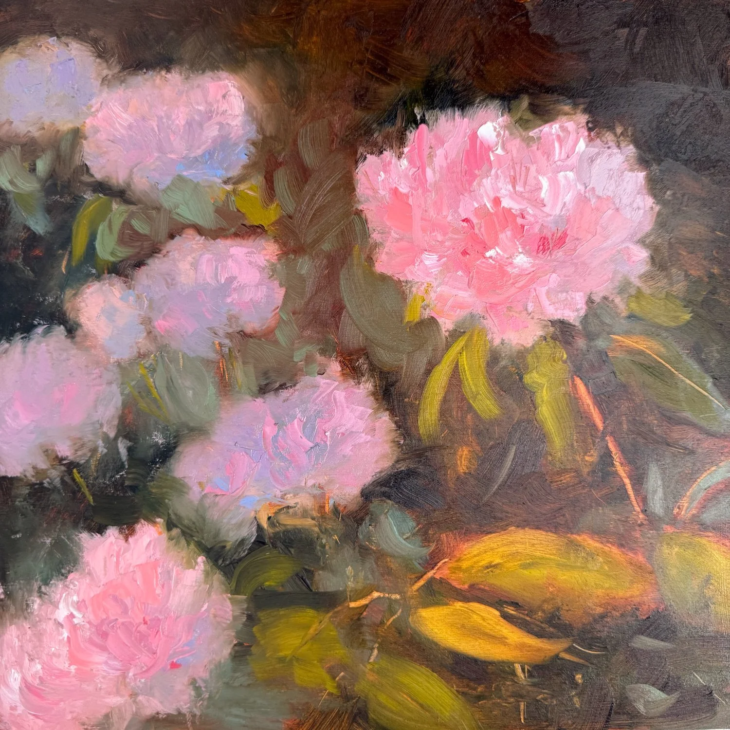 The Rhododendron bush in the garden has suddenly bloomed, so I just had to paint a quick one

#rhododendronpainting #rhododendrons #paintingflowers #flowerpainting #pinkrhododendrons