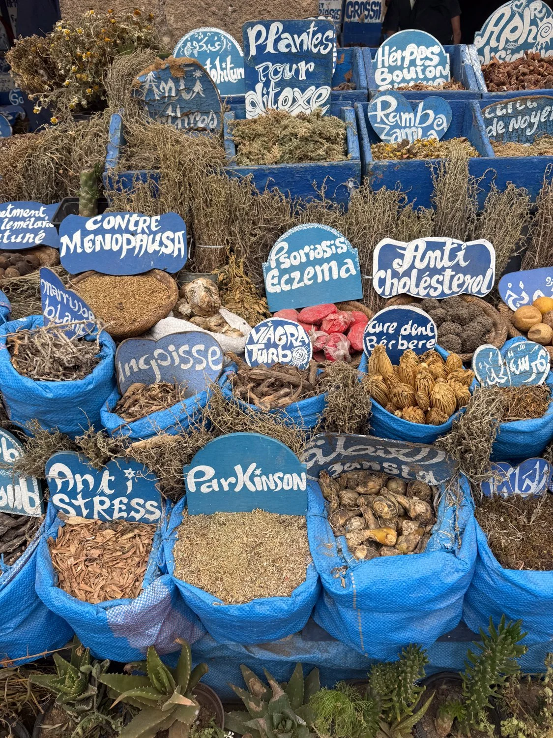 HeidiLaughtonArt-essaouira-colours-4.jpg