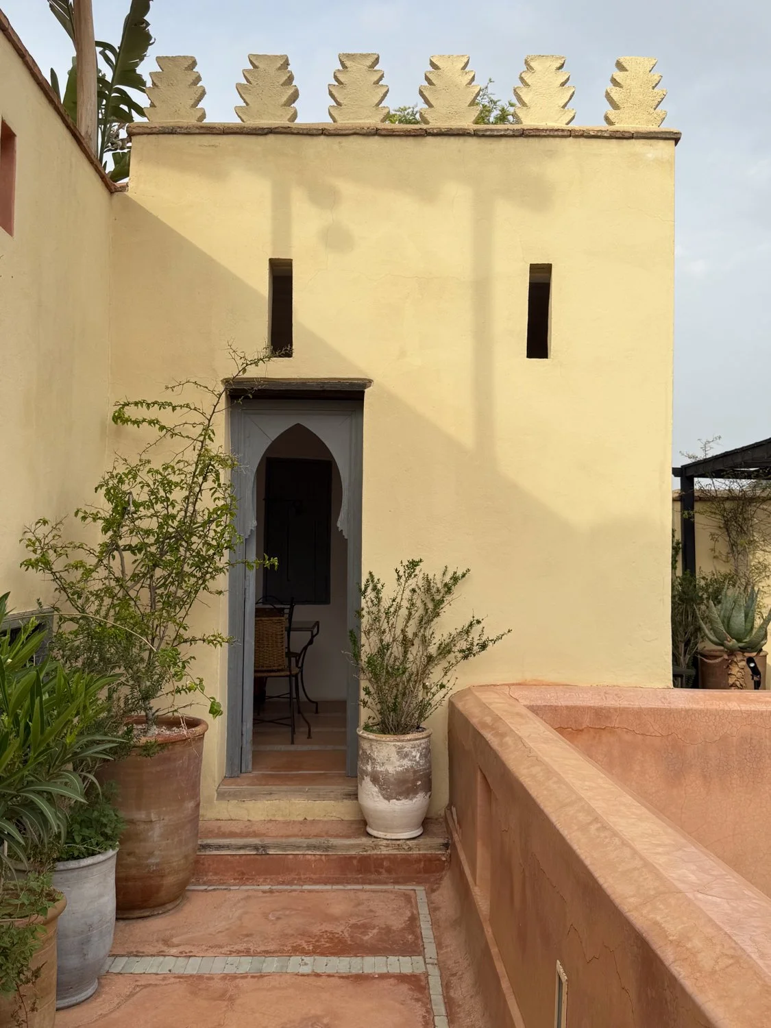 HeidiLaughtonArt-marrakesh-Hirondelles-riad-2.jpg
