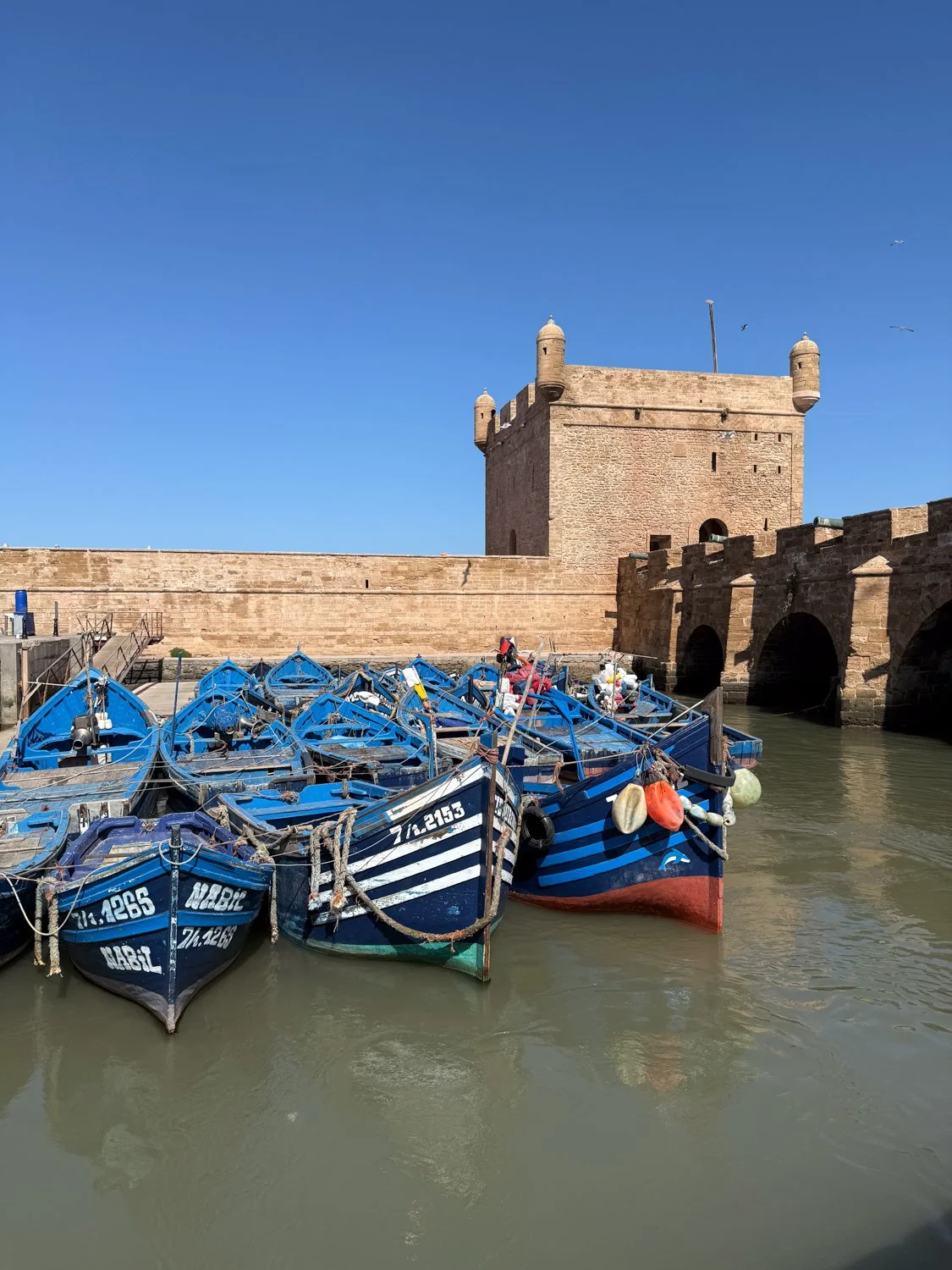 HeidiLaughtonArt-essaouira-62.jpg