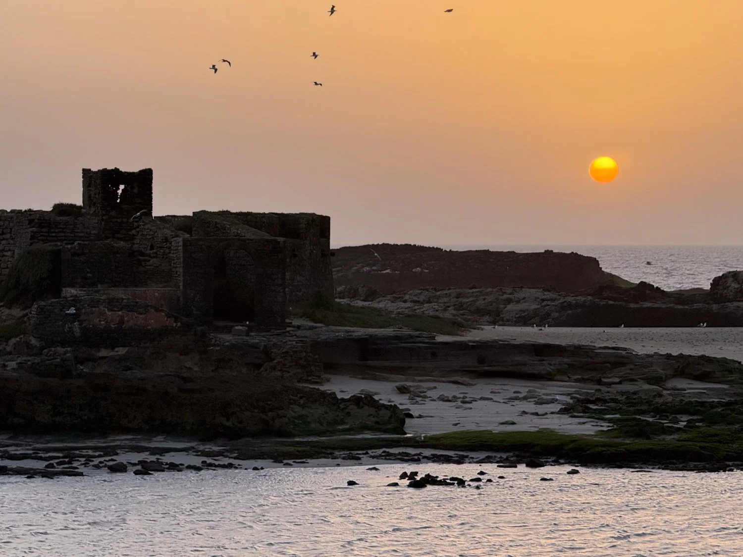 HeidiLaughtonArt-essaouira-53.jpg