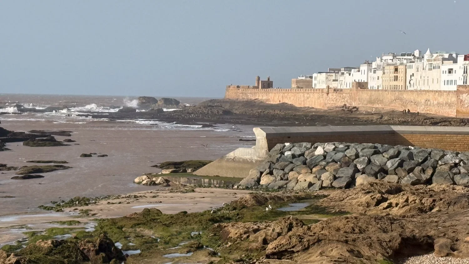 HeidiLaughtonArt-essaouira-51.jpg