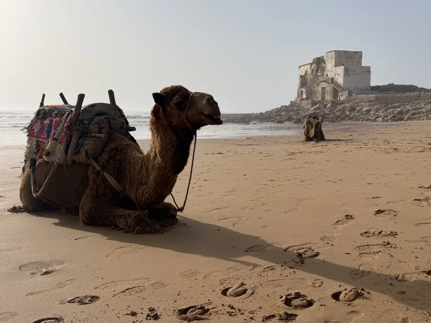 HeidiLaughtonArt-Sidi Kaouki beach-5.jpg