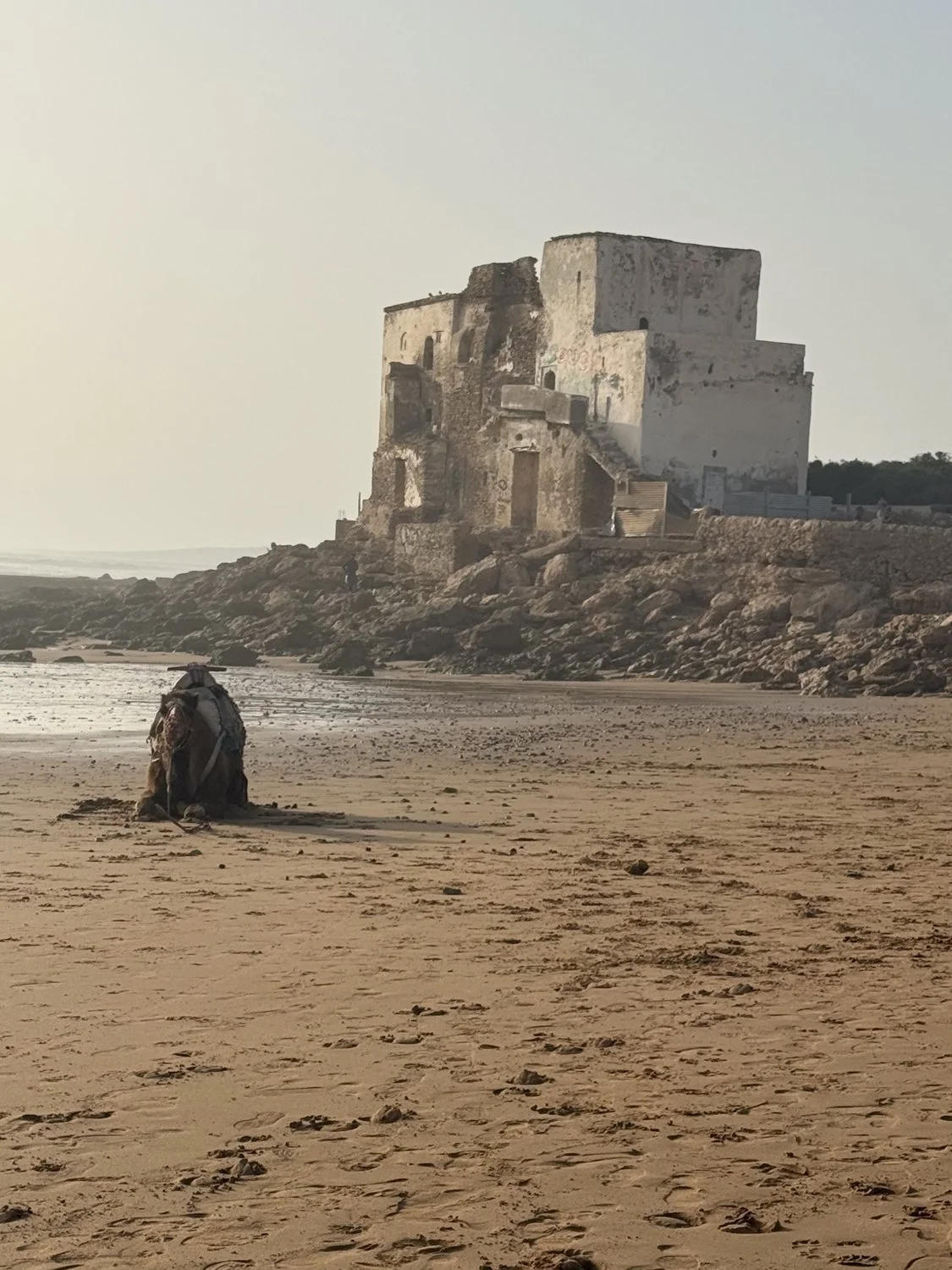 HeidiLaughtonArt-Sidi Kaouki beach-6.jpg