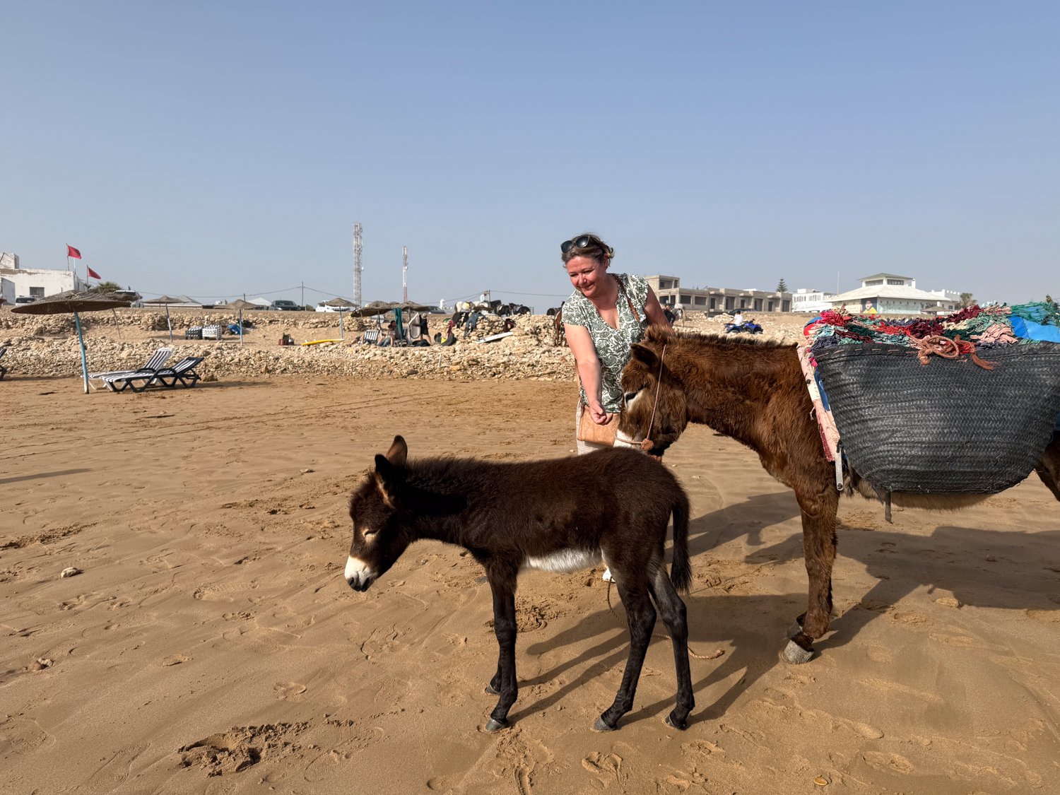 HeidiLaughtonArt-Sidi Kaouki beach-3.jpg