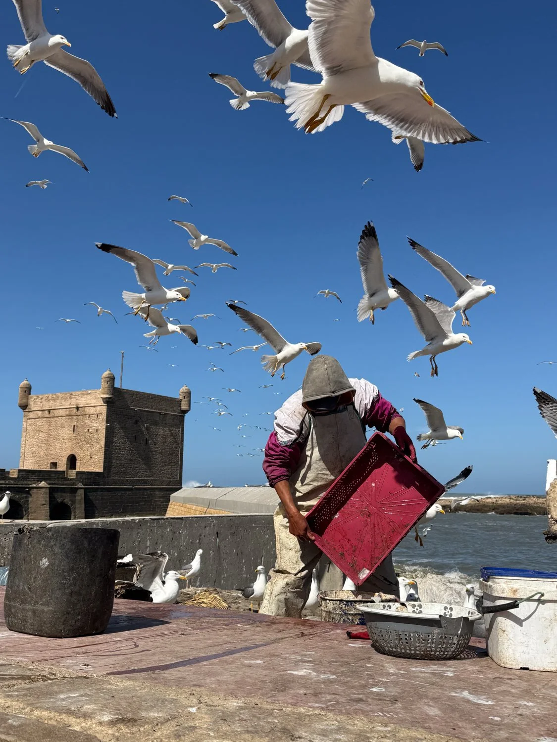 HeidiLaughtonArt-morocco-22.jpg