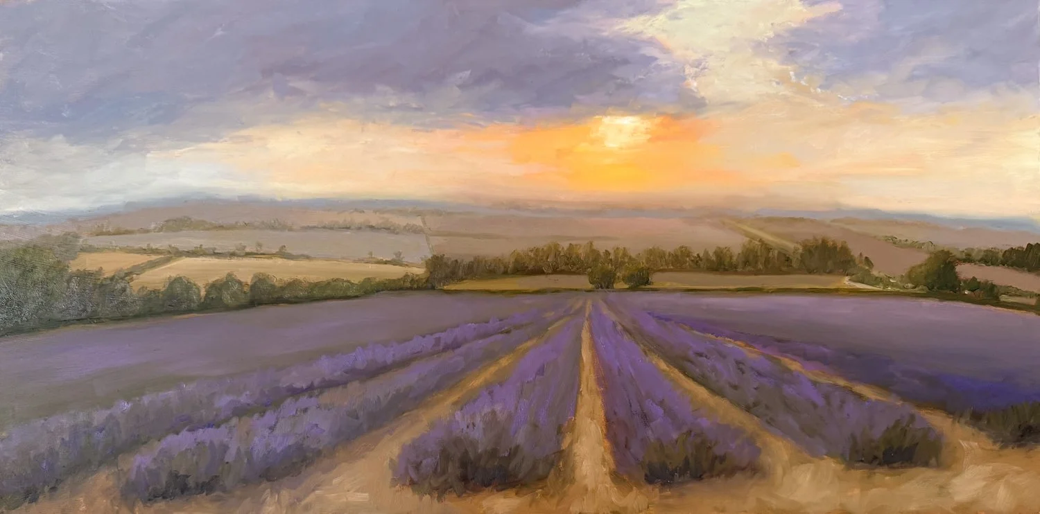 Lavender Fields at Golden Hour