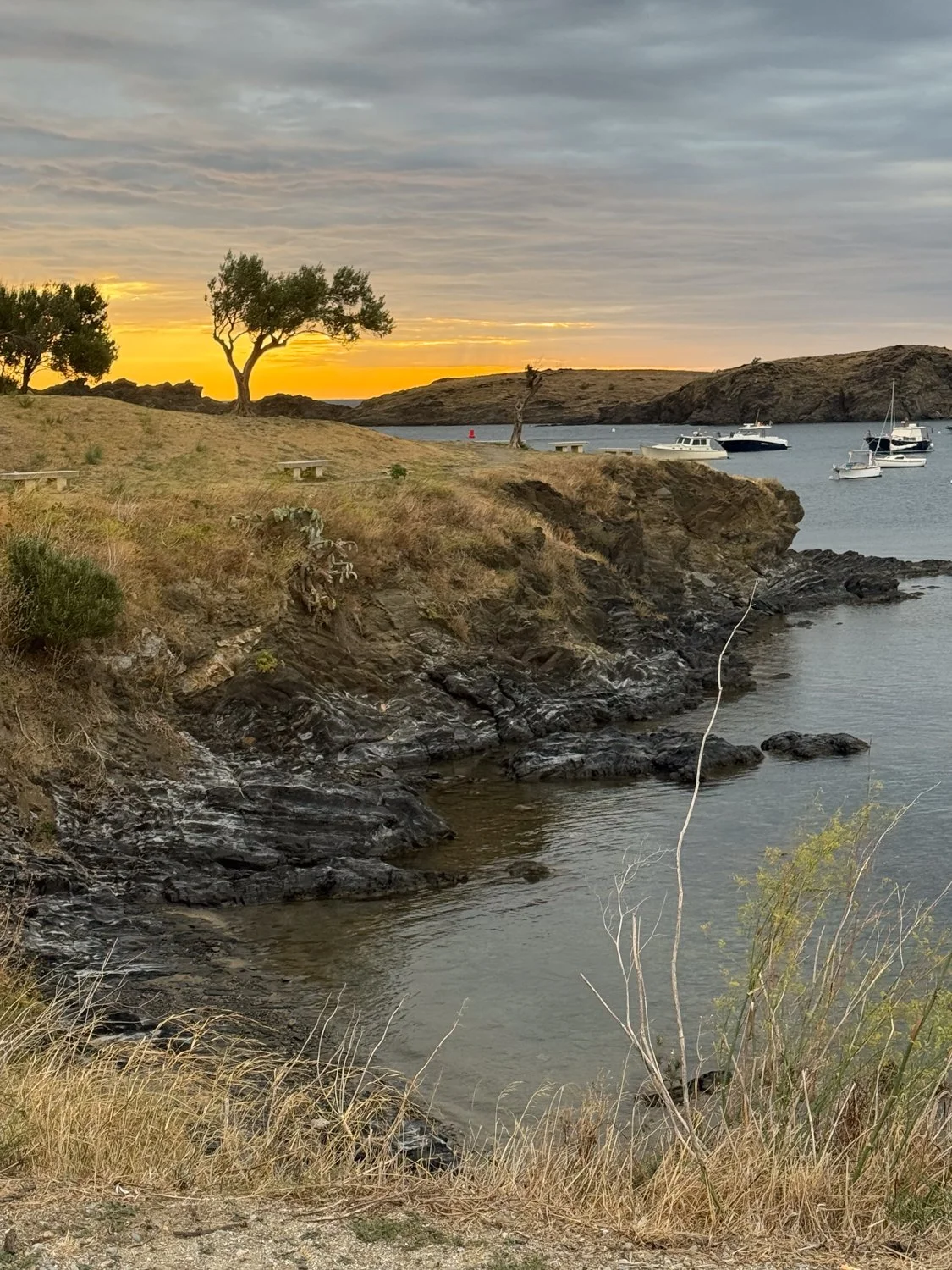 heidilaughtonart-sunrise-on-headland-pleinair-19.jpg