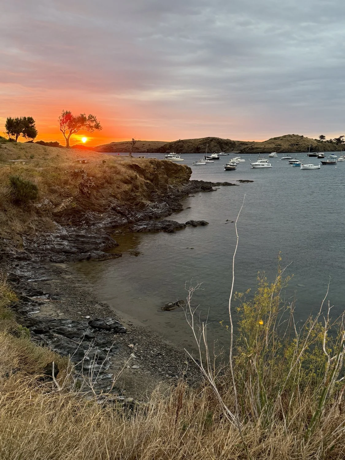 heidilaughtonart-sunrise-on-headland-pleinair-11.jpg