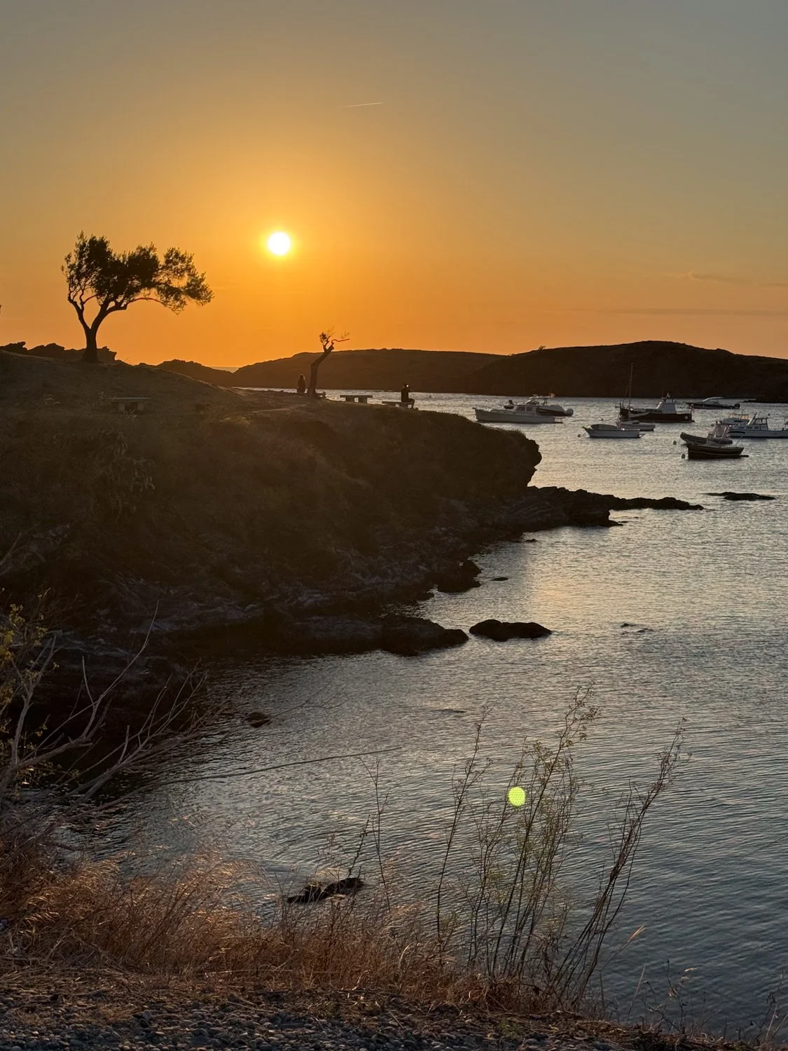 heidilaughtonart-sunrise-on-headland-pleinair-4.jpg