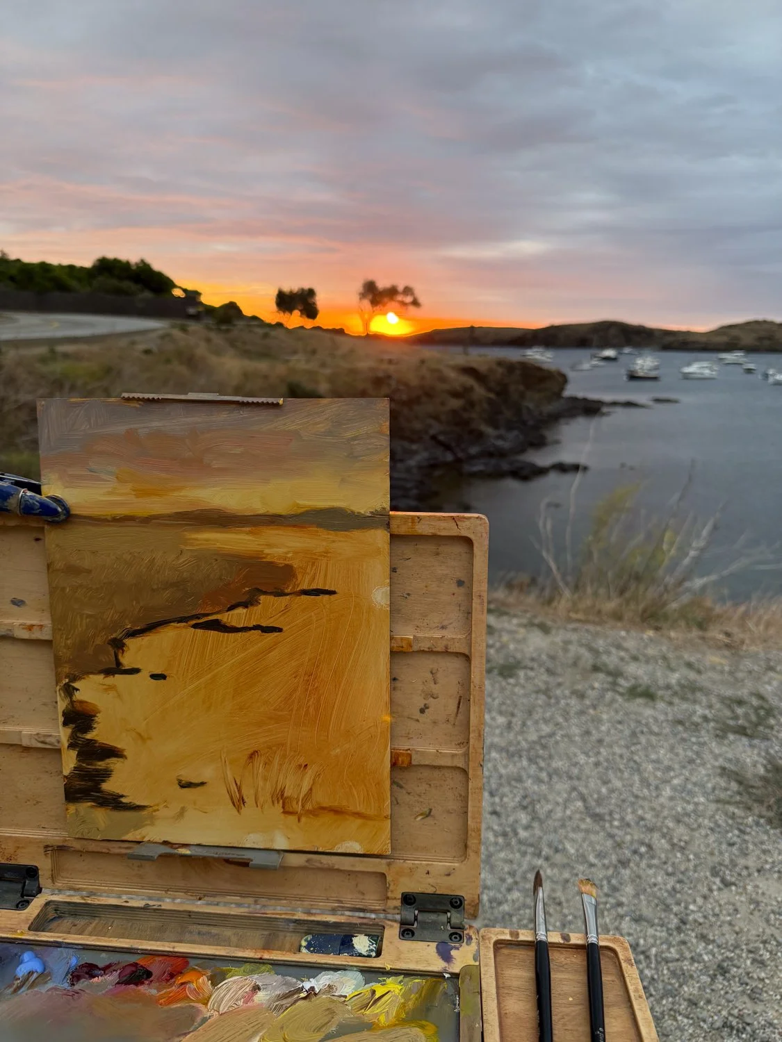 heidilaughtonart-sunrise-on-headland-pleinair-14.jpg