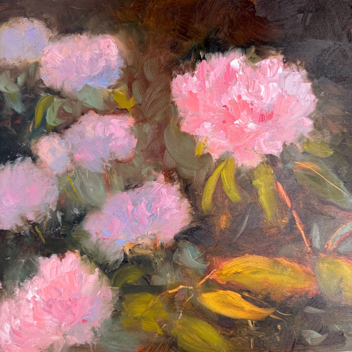 HeidiLaughtonArt-rhodedendrums.jpg
