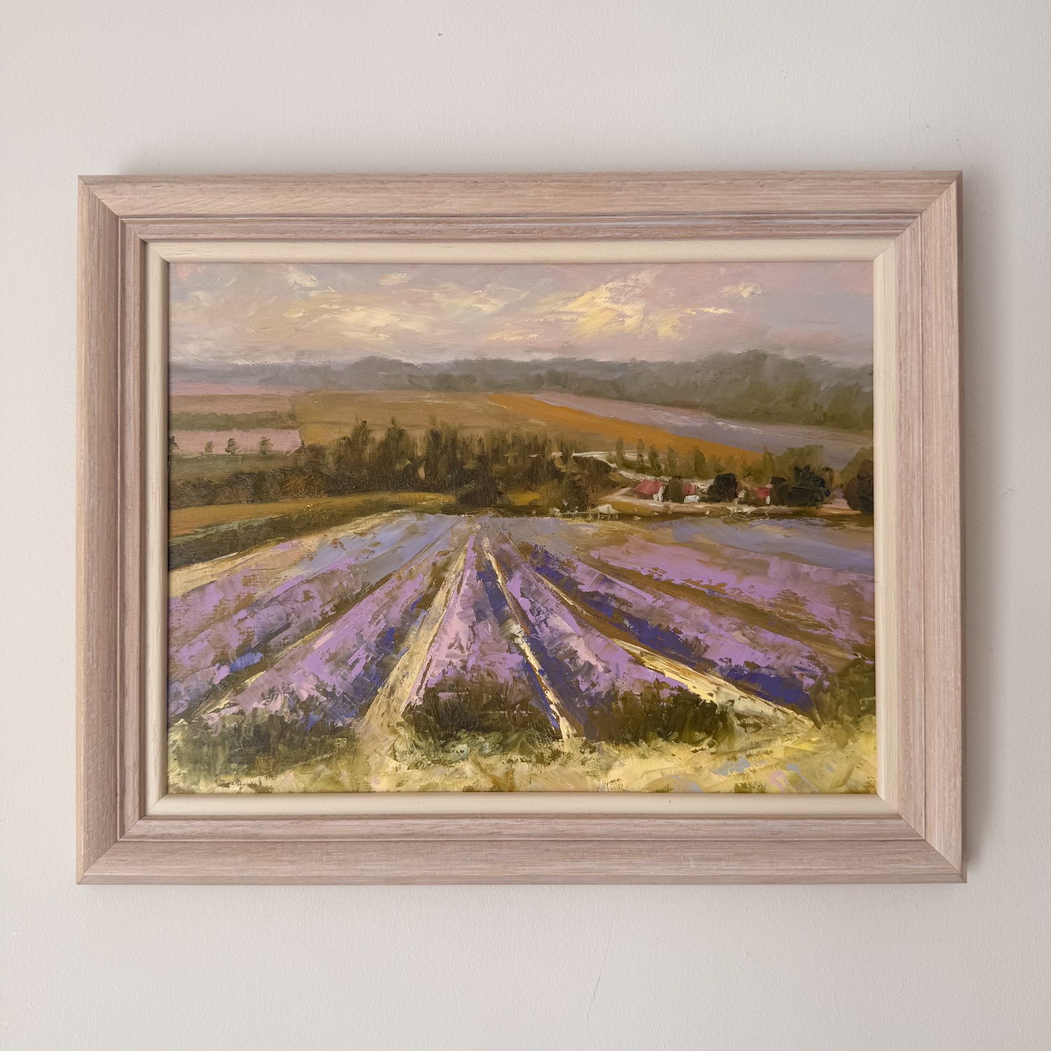 Lavender Fields Study