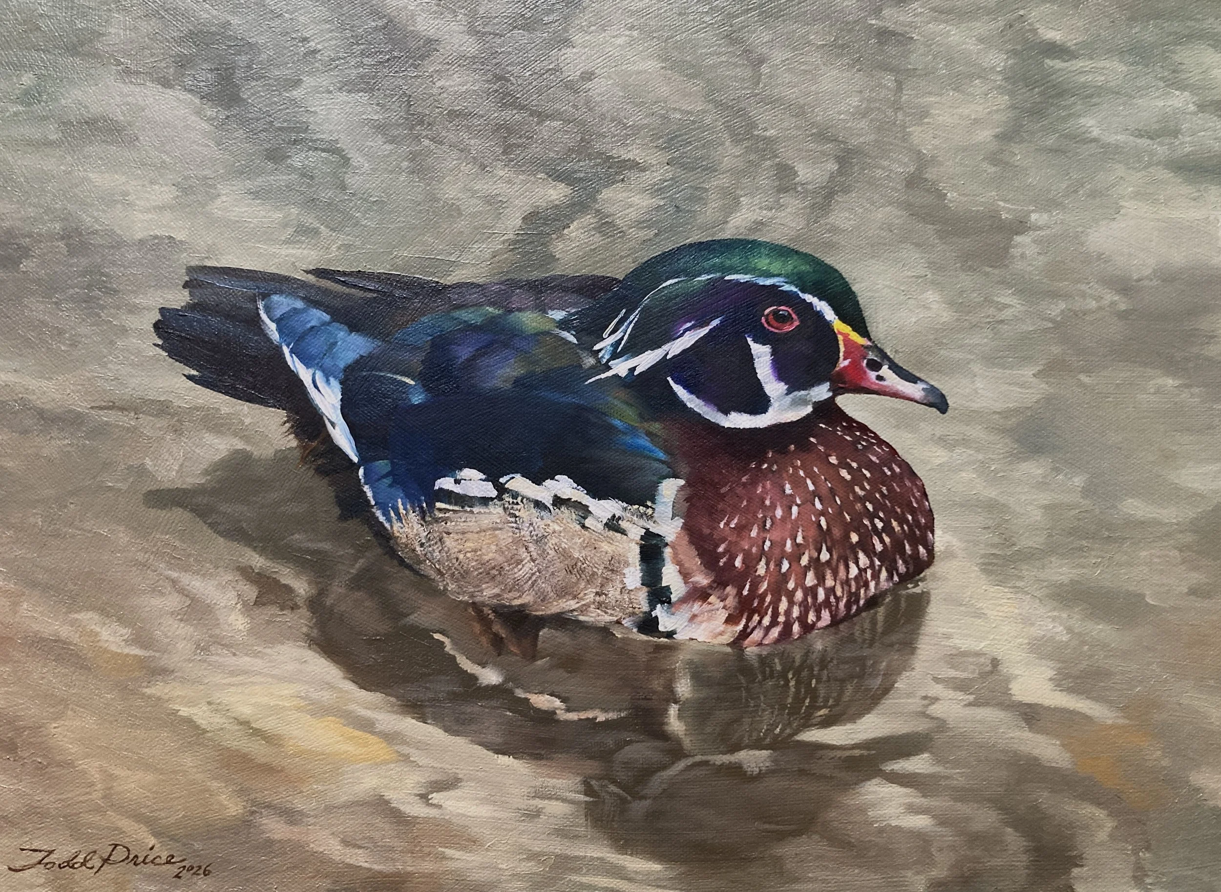 Wood Duck