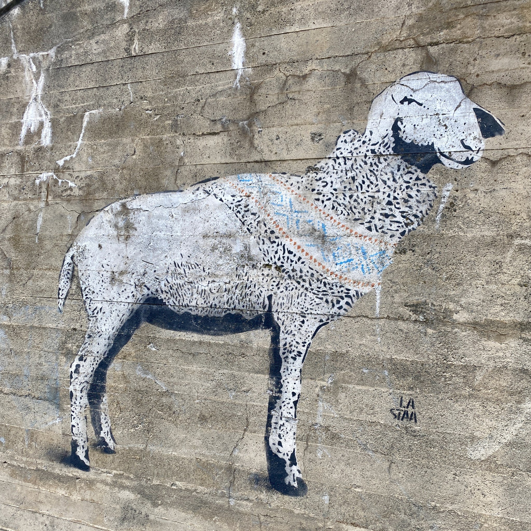 V &aring; r t e i k n 🌼 April byr som oftast p&aring; litt av alle &aring;rstider, so eit vossaf&aring;r i &quot;Pure wool&quot; er eit godt symbol v&aring;r her i bygda. 🐑

#v&aring;rtegn #springtime #purewool #streetart #urbanart #sheep #sheepart