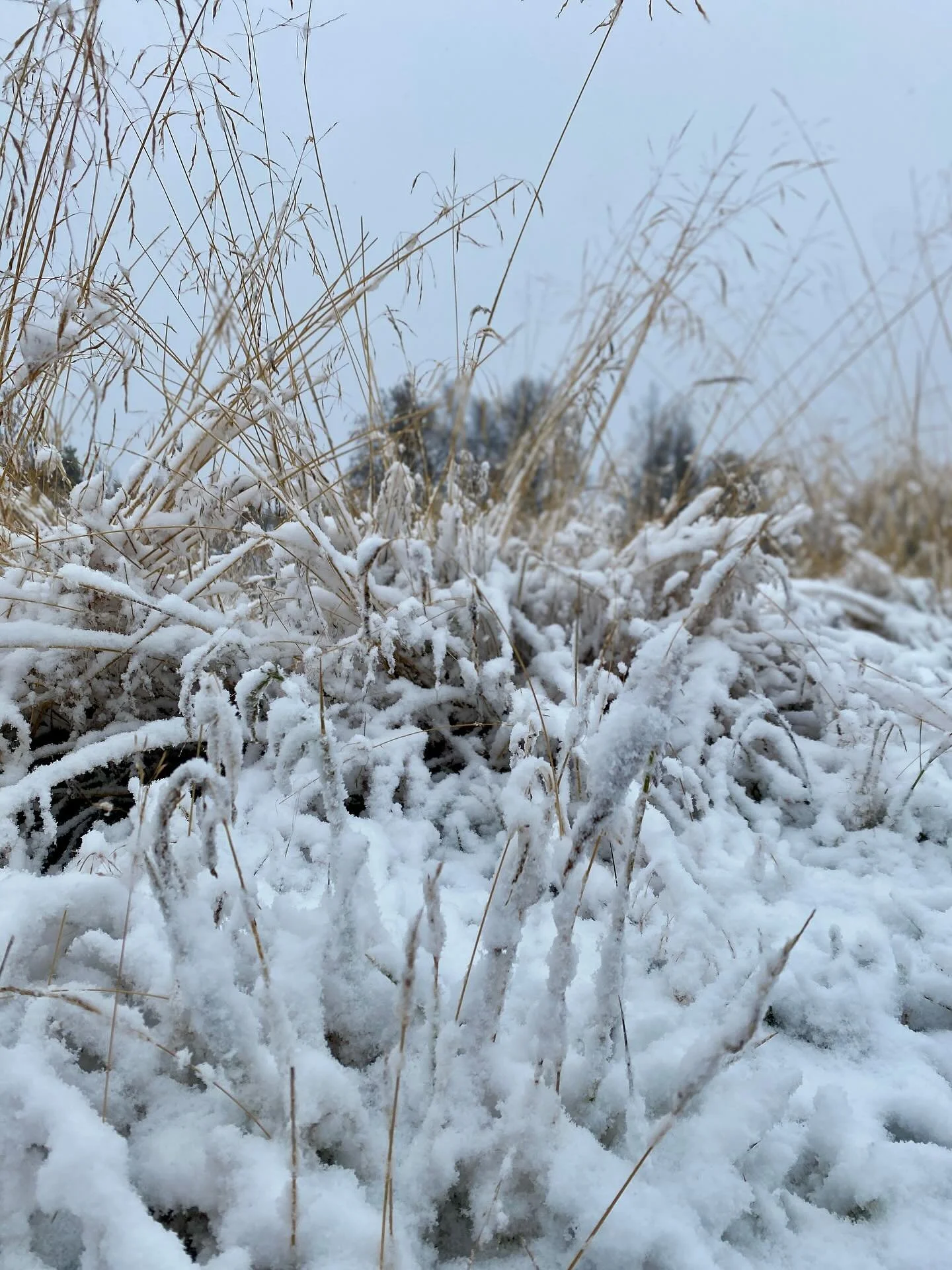🍂 H a u s t 🍂 
Oktober starta med stormen &laquo;Amy&raquo; p&aring; bes&oslash;k og den fyrste snjoen p&aring; fjellet.☃️💨💦

Det vart nokre gode dagar p&aring; hytta med barnebarn &amp; familie p&aring; haustferie fr&aring; 🇩🇰🥰 #kvalitetstid 