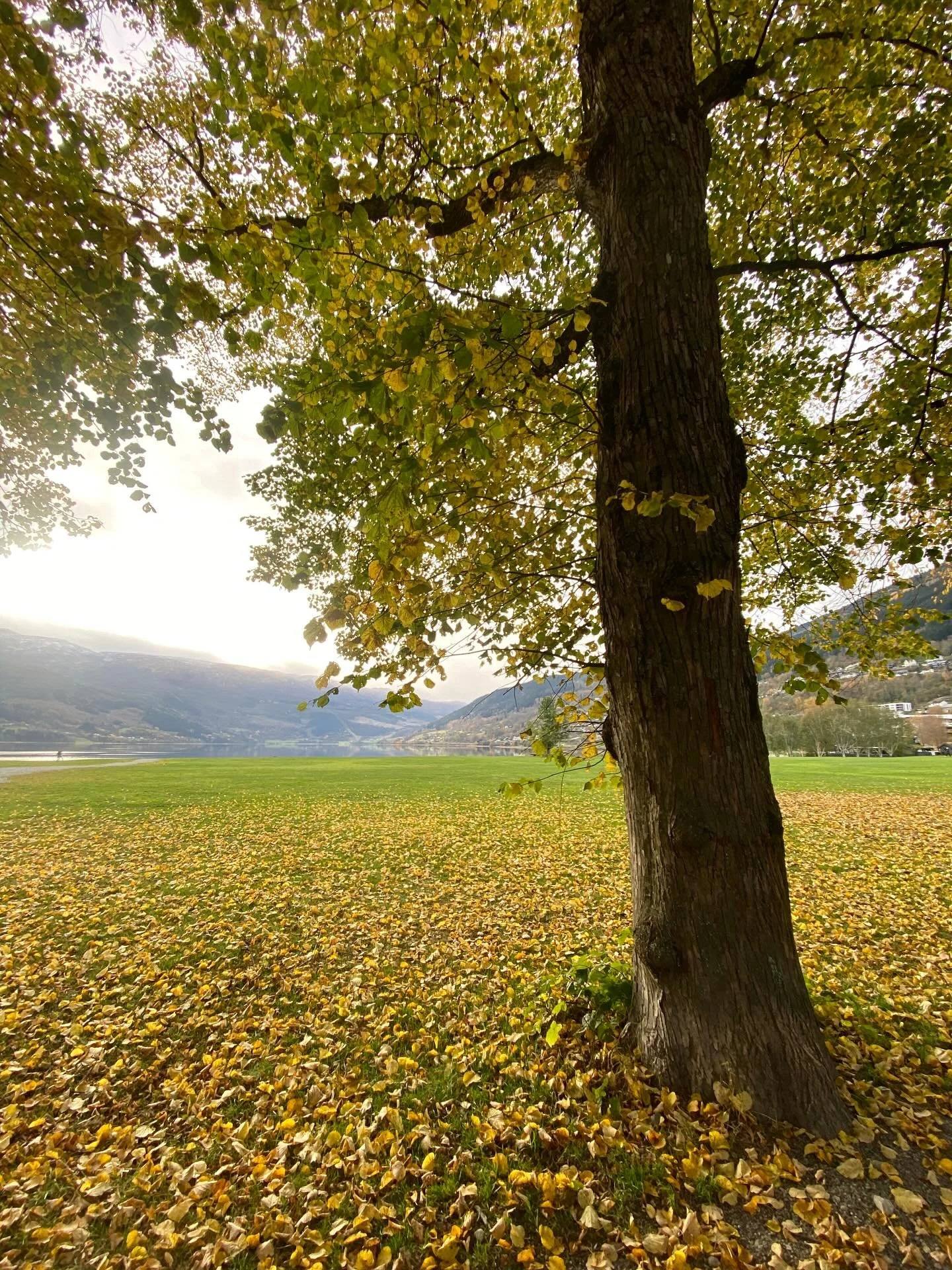 🍂 a u t u m n 🍂 Mother nature has the best book of crayons&hellip; 🧡

Oktober, helg, temperaturen n&aelig;rmar seg null, frisk luft, lunsj ute i det fri, kaffi p&aring; thermos, veninnetid, haustens fargar, ro, energip&aring;fyll 🍂 

Slike stunde