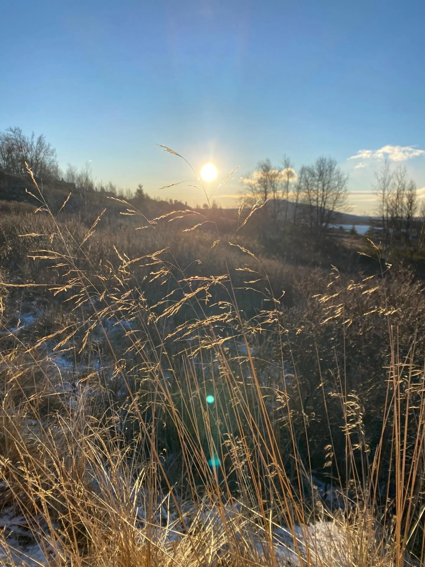Haustsesongen p&aring; hytta i november enda br&aring;tt med litt knall &amp; fall&hellip; og handleddsbrot 🫣 

Likevel ei herlig helg med mykje frisk luft, ut p&aring; tur, b&aring;lpannekos, mange verskifte og s&aelig;rs godt selskap 🥰

Vinterses