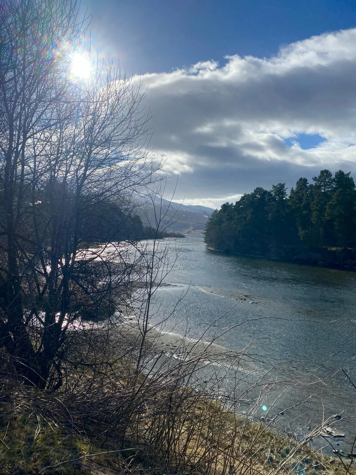 🍃 V &aring; r t e i k n 🍃 Trugene er pakka vekk og sykkelen har f&aring;tt lufta seg 😊

#utp&aring;tur #sykkeltur #p&aring;ske 🐣 #v&aring;rtegn #liveterbestute