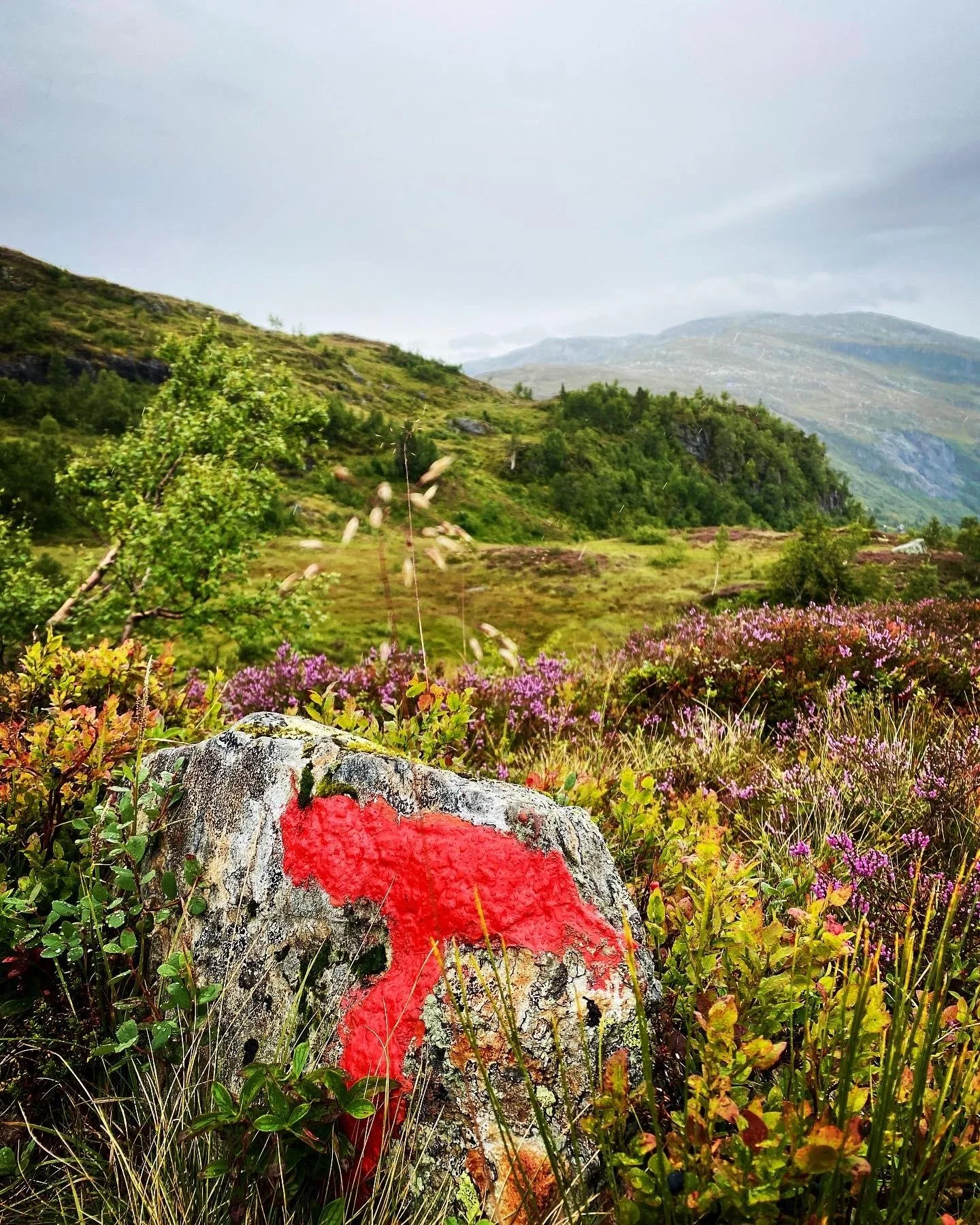🍂 I n s p i r a s j o n 🍂
Oktober. Haust. Ro. Fargar. Kontrastar. 

Ute i naturen finn eg den beste inspirasjonen for mitt virke. I skogen, langs ei elv, p&aring; fjellet... Her boblar kreativiteten, ideane eg har i hovudet modnar og designproblema