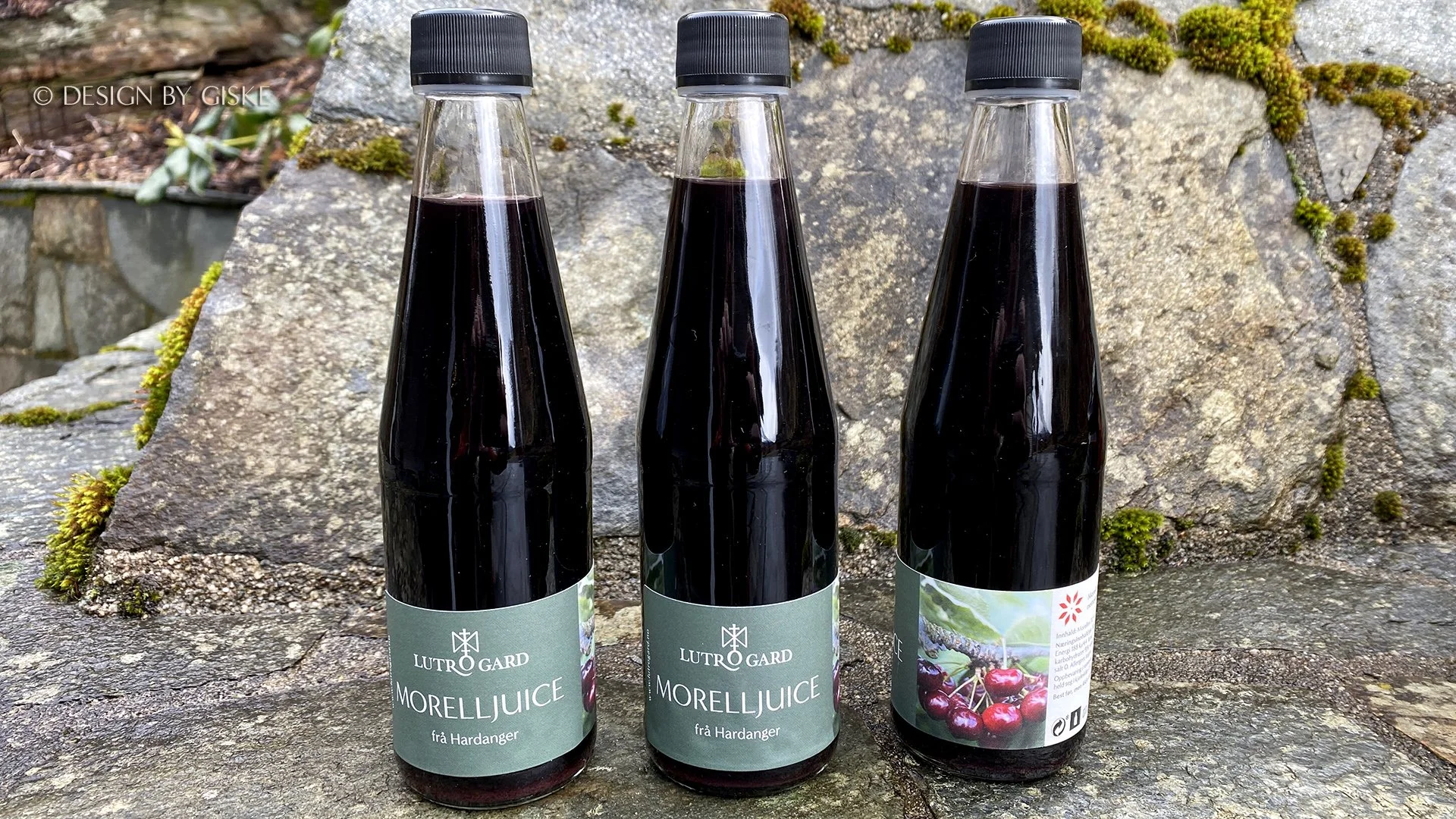 Design.by.Giske_Lutro Gard_etiketter_konsept_moreller juice_03.jpg