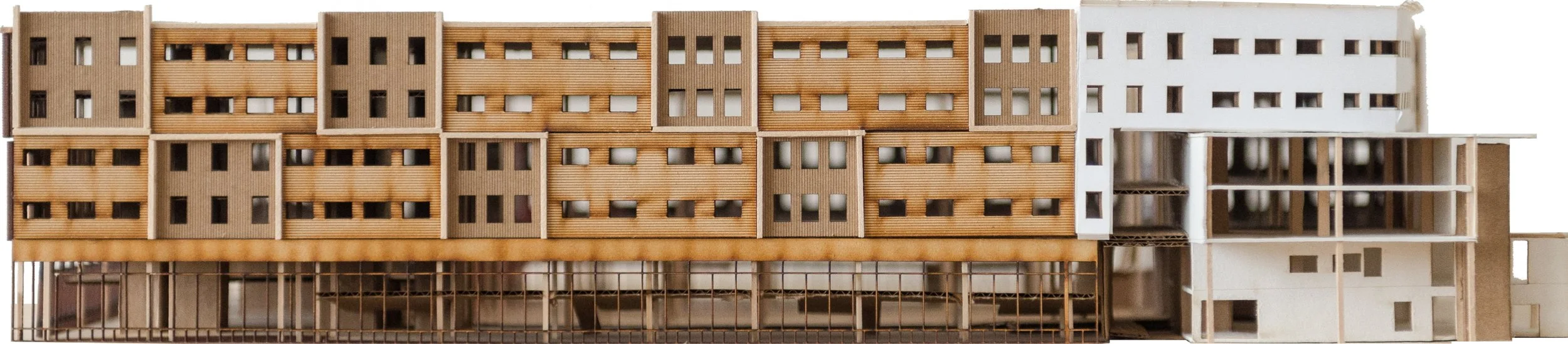 RS_DSC_8263 (JPEG).jpg