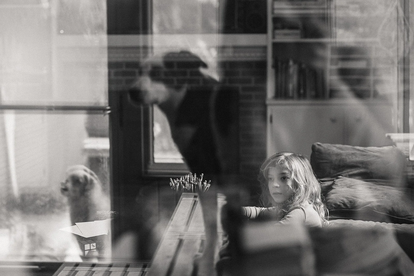 family photographers in columbus ohio dogs looking through window