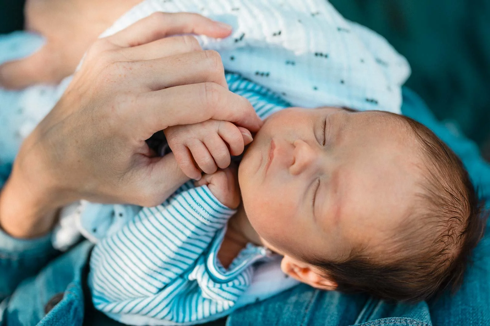 newborn photographer columbus ohio