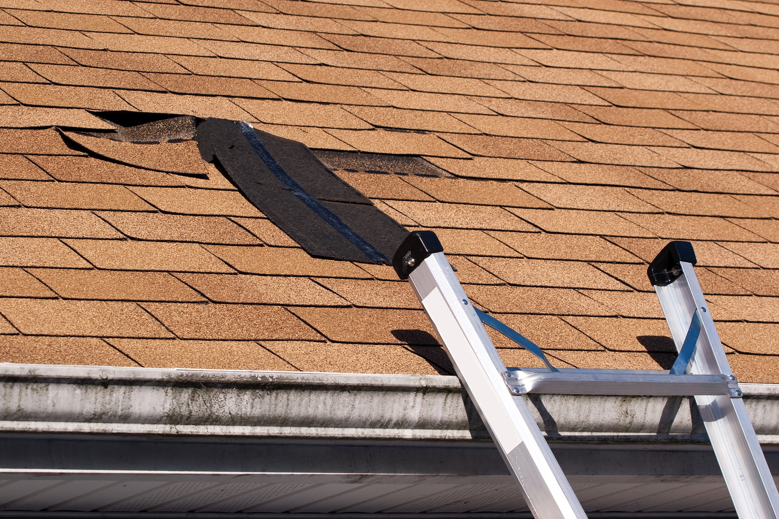 fixing-damaged-roof-shingles-a-section-was-blown-off-after-a-storm-with-high-winds-cau-SBI-301040734.jpg