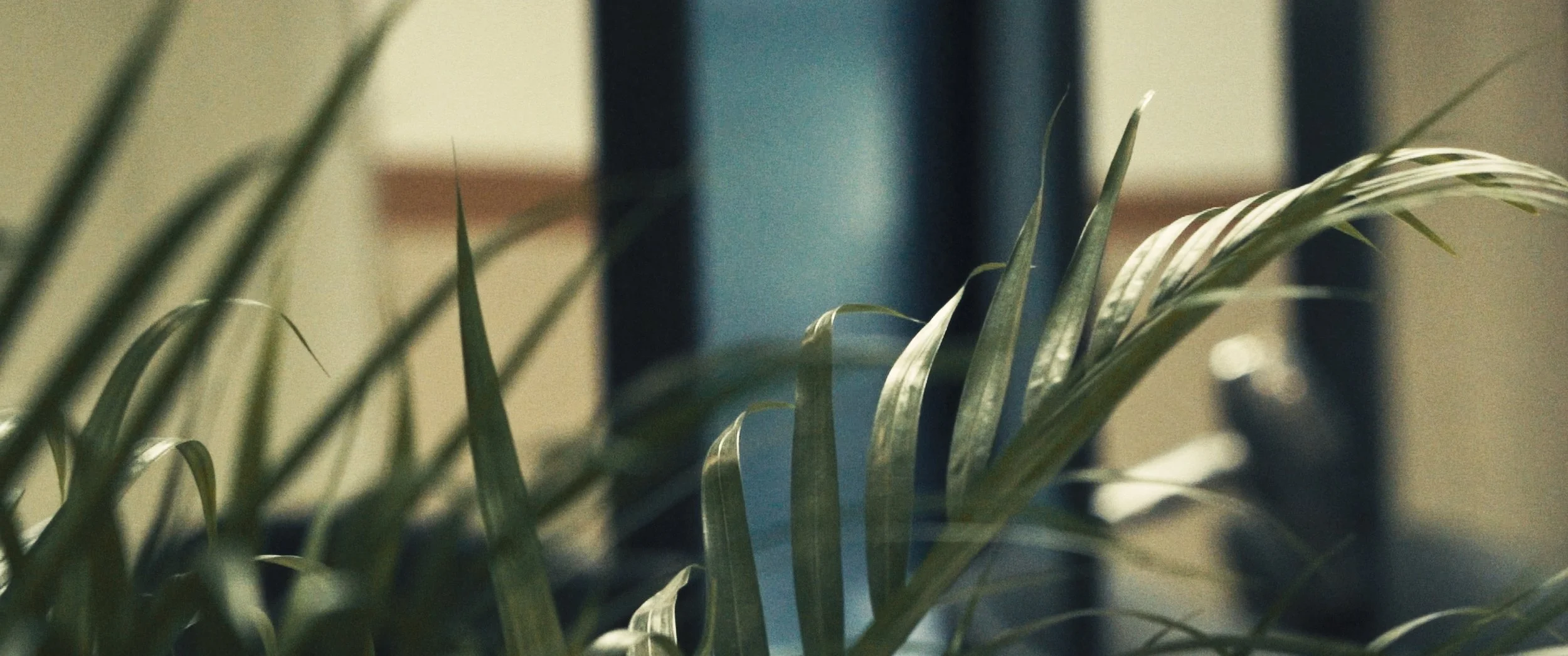 Master Wide 4K_01_08_08_02.jpg