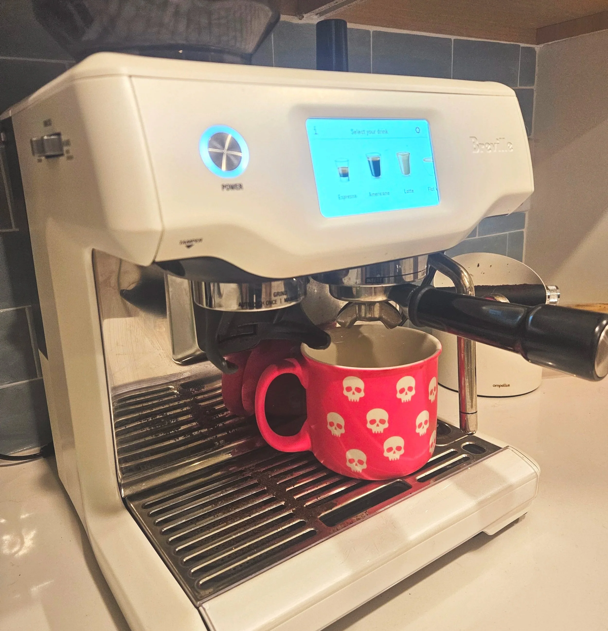 ​Belly Fat vs. My Espresso Machine: The Science of Why I’m Waiting