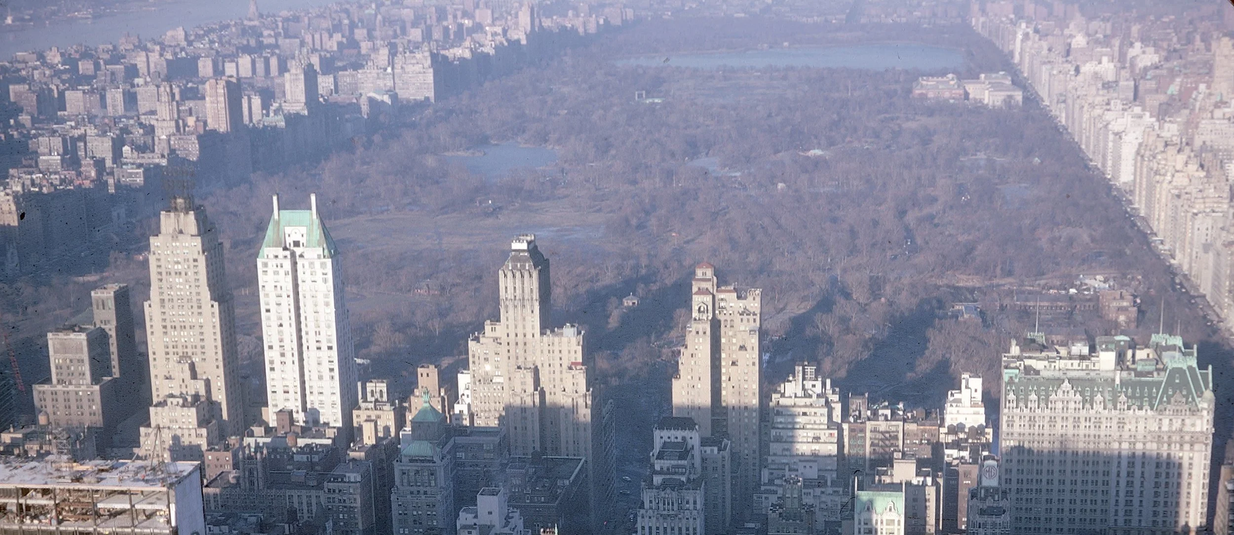 Start With Colin Rowe’s School Of Thought