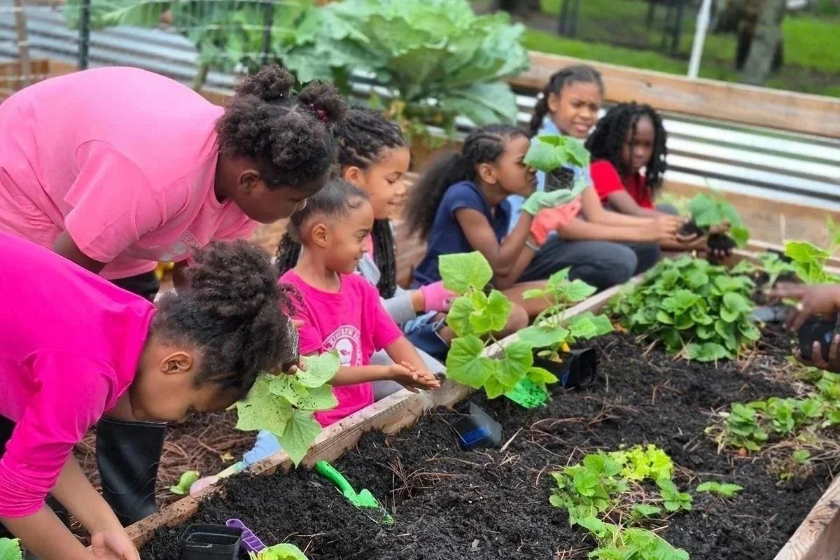 Students learn to grow vegetables through hands-on activities in a farm setting.