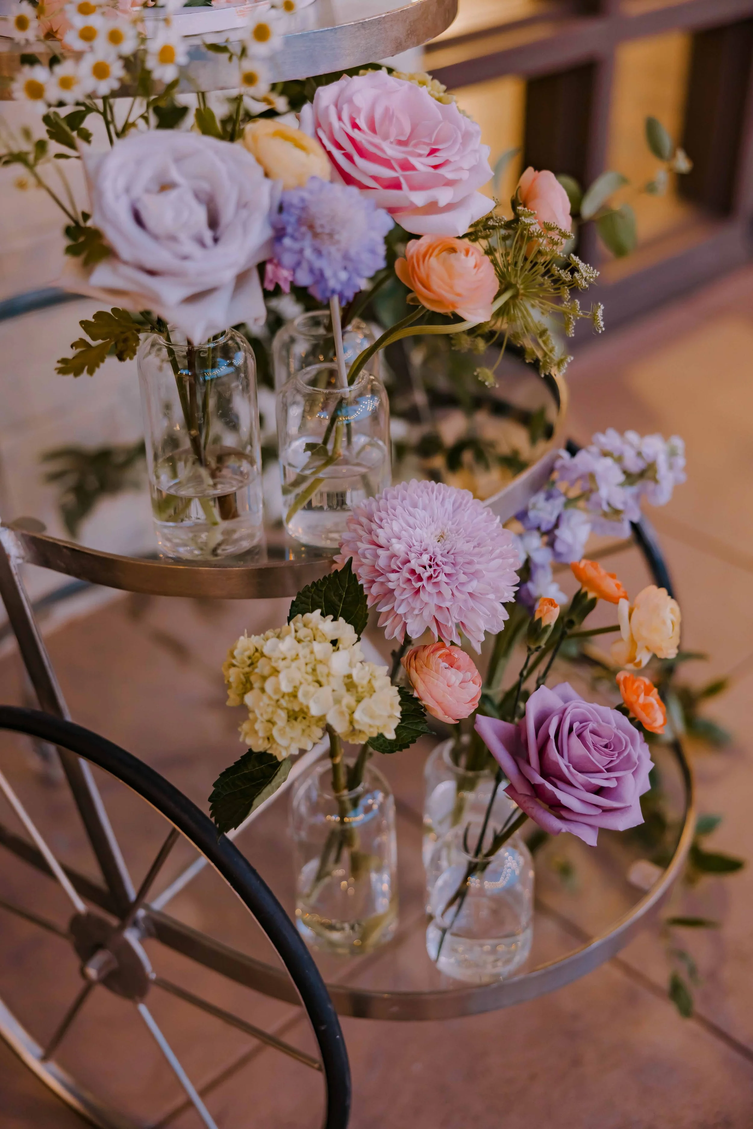 mission ranch 2024-307.jpg