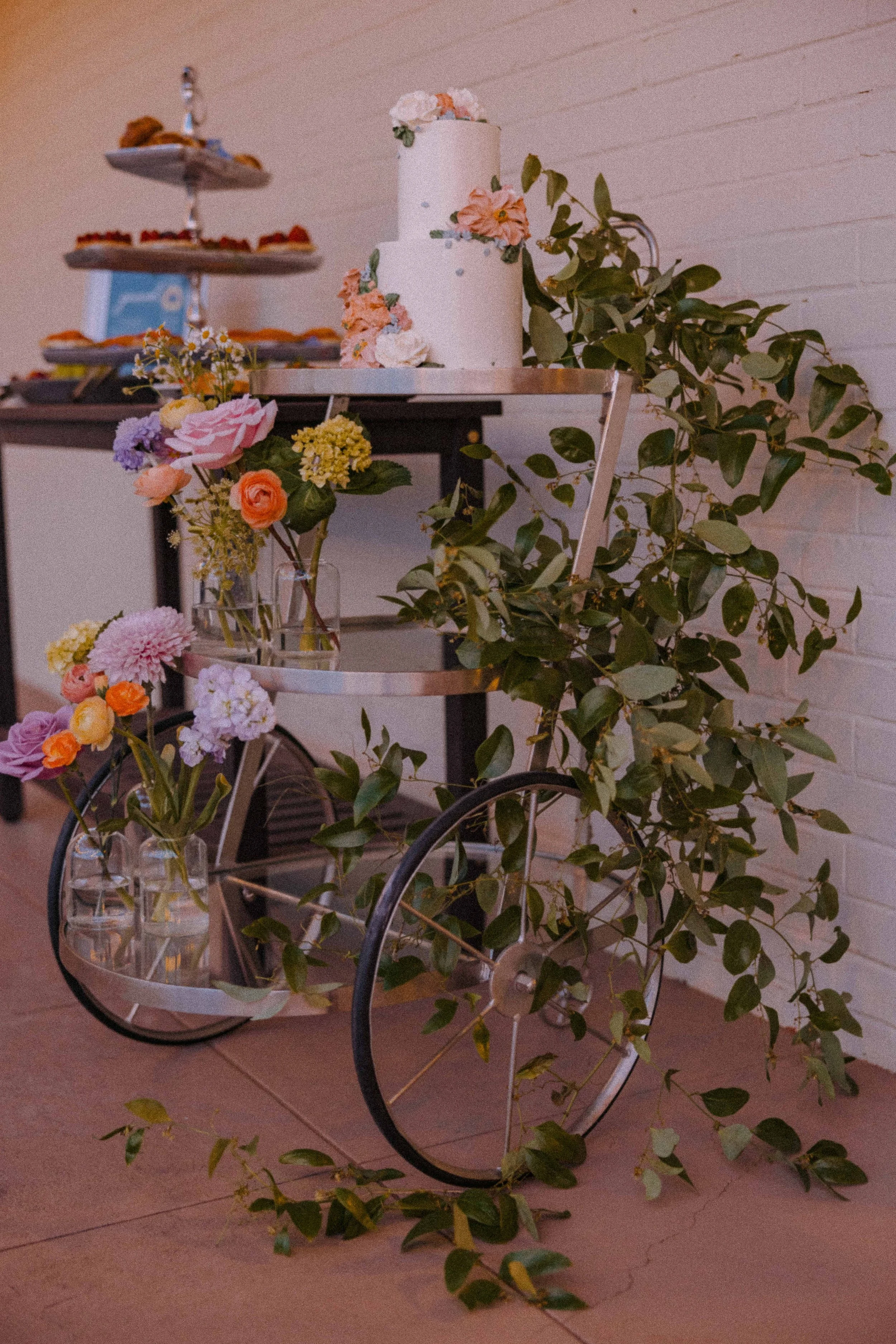 mission ranch 2024-289.jpg