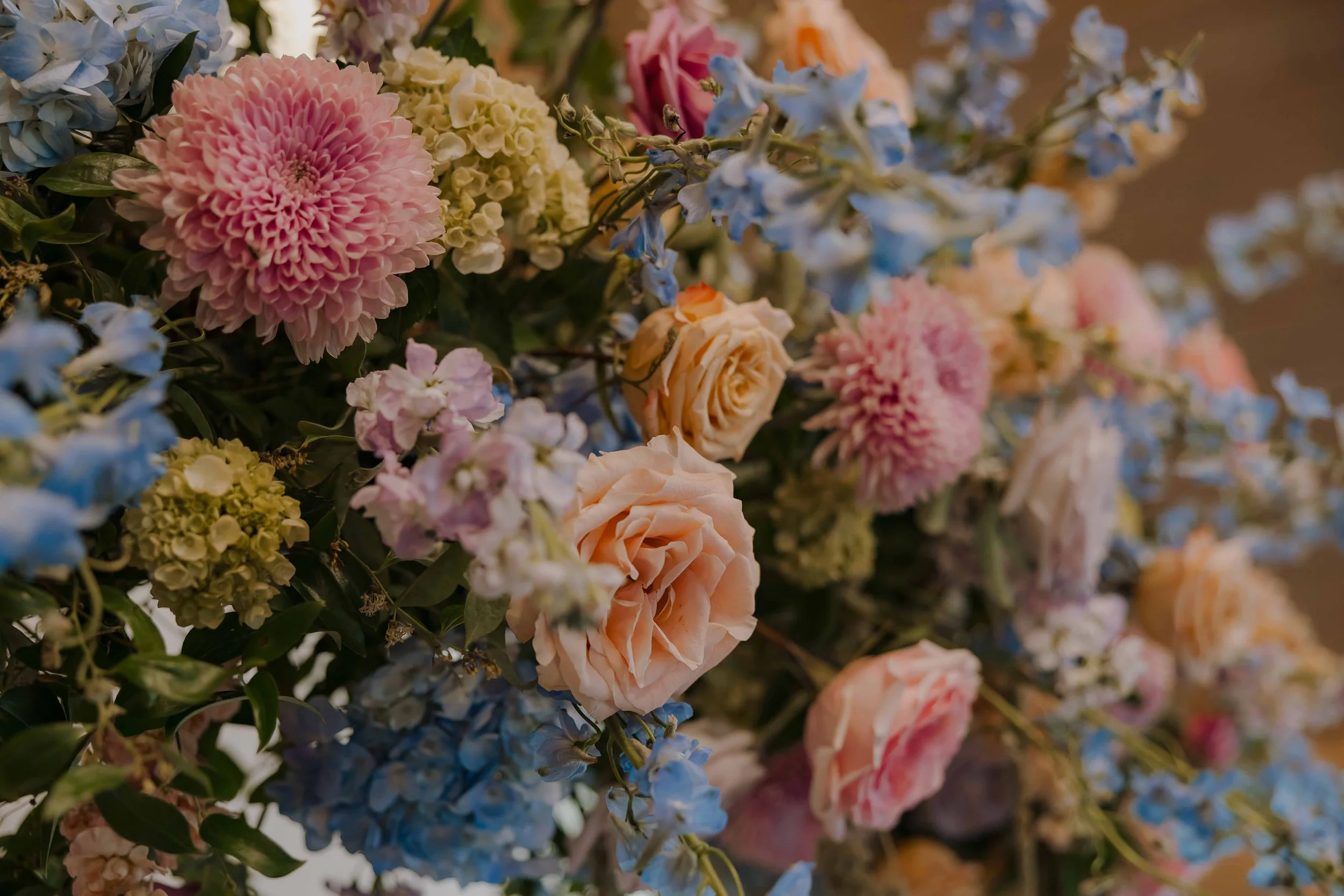 mission ranch 2024-59.jpg