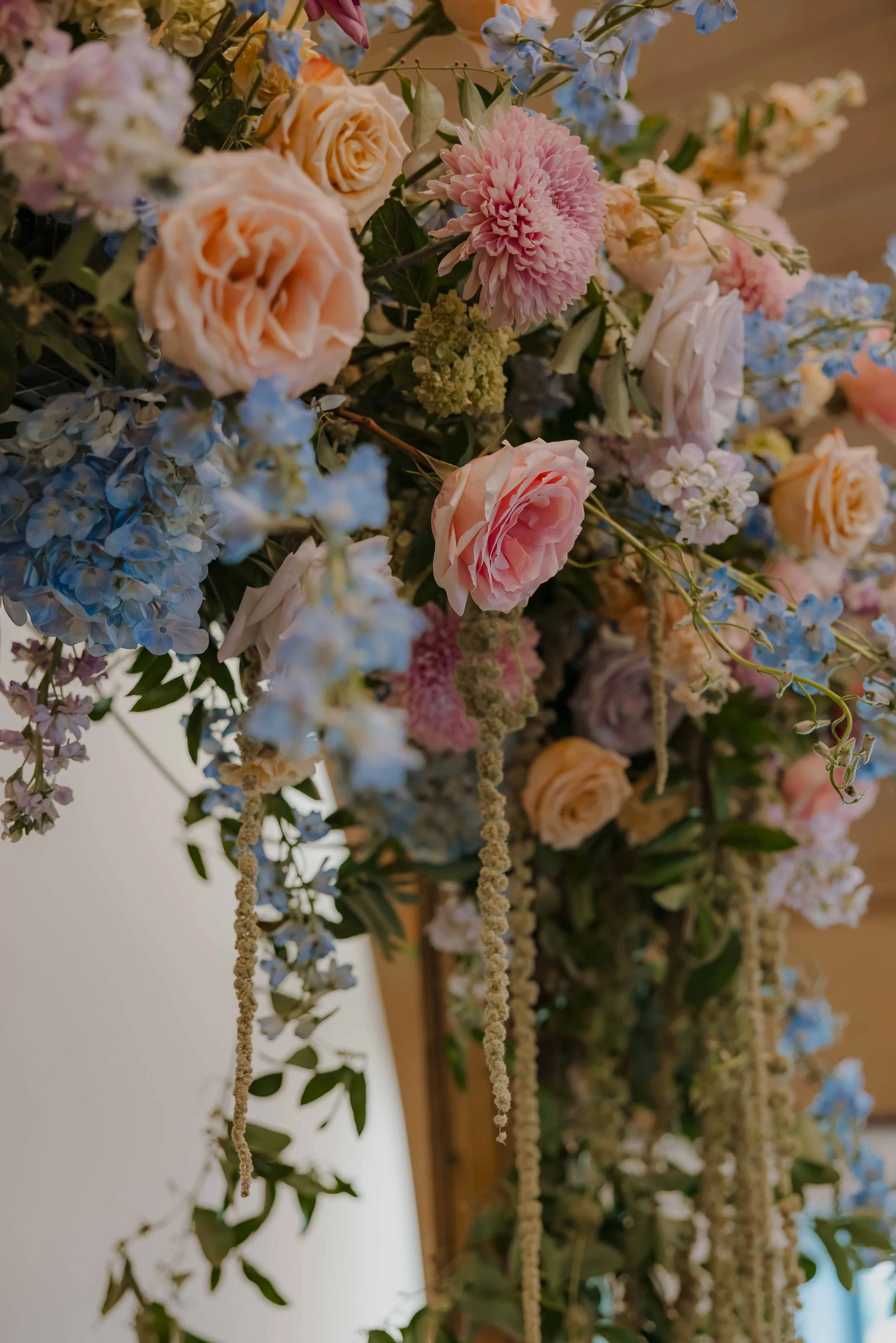 mission ranch 2024-60.jpg