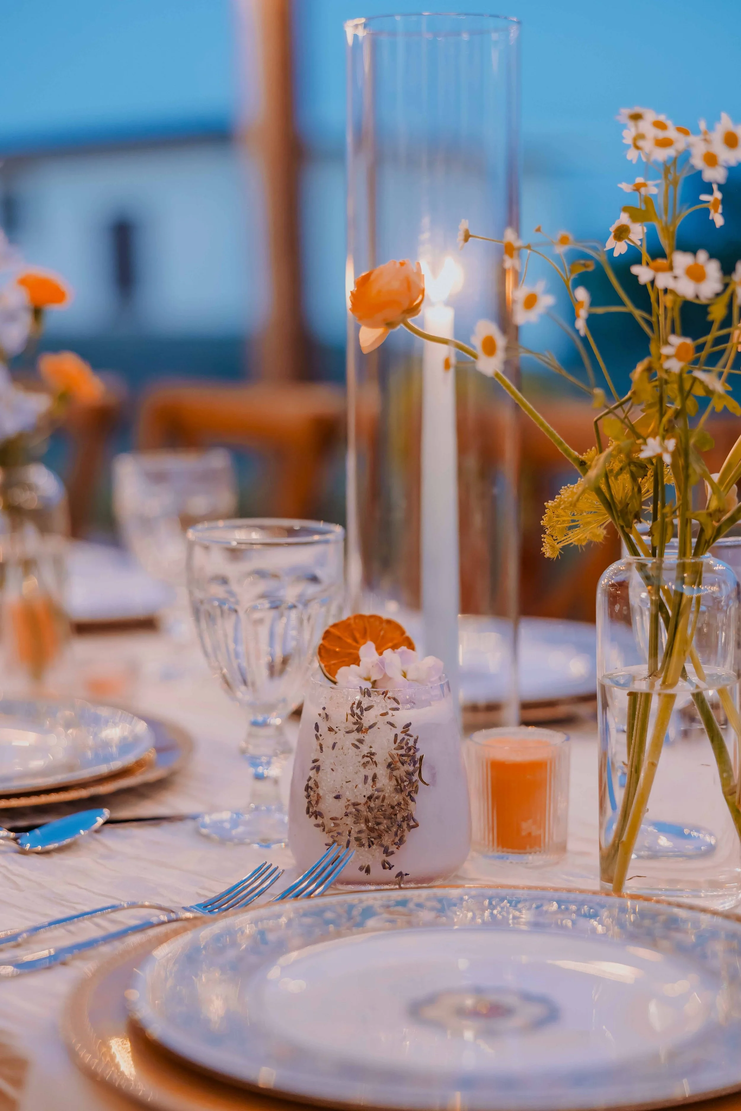 mission ranch 2024-325.jpg