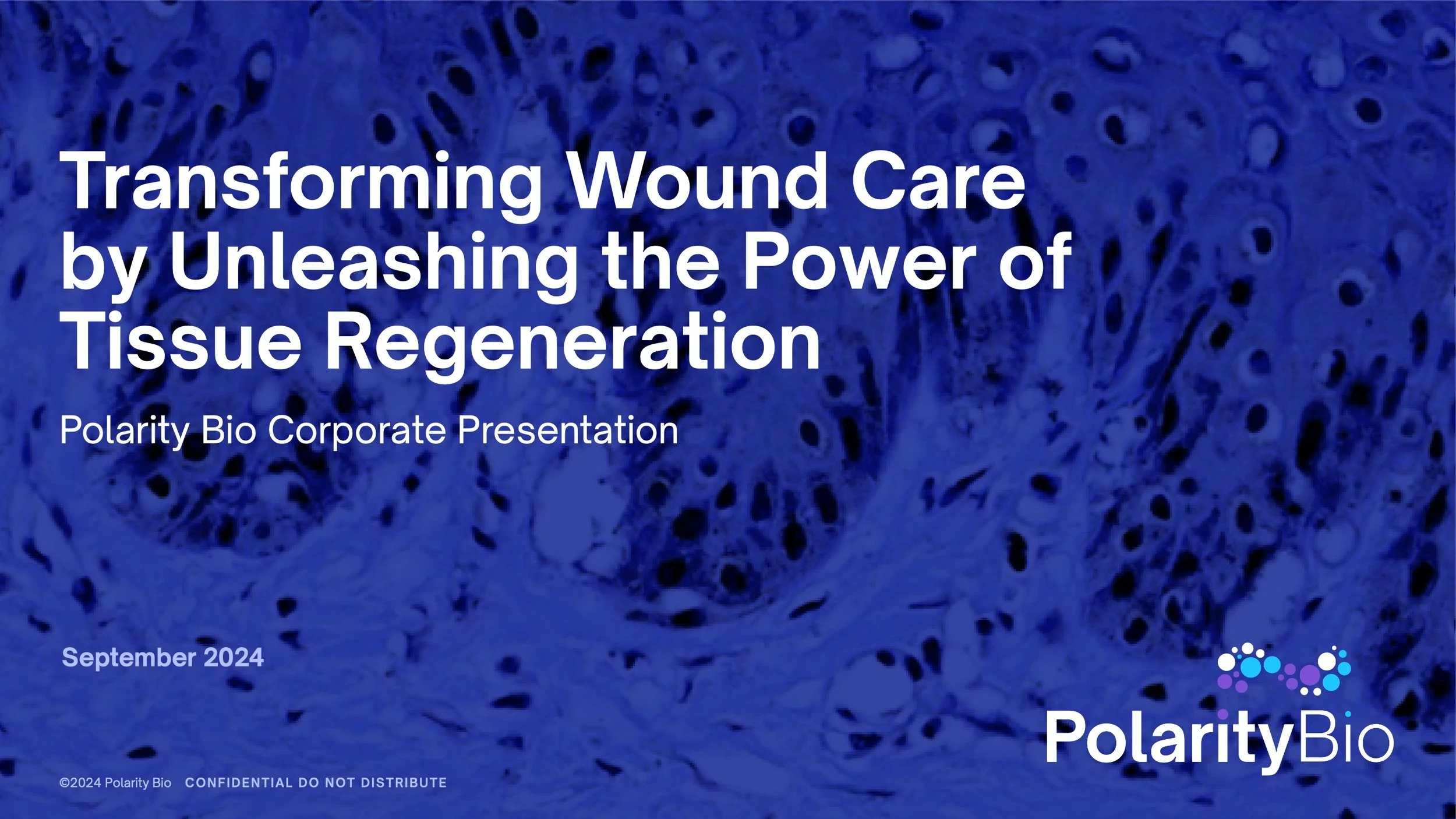 A presentation slide with a blue textured background. The slide contains the text: 'Transforming Wound Care by Unleashing the Power of Tissue Regeneration, Polarity Bio Corporate Presentation, September 2024.' There is a Polarity Bio logo in the bottom right corner.