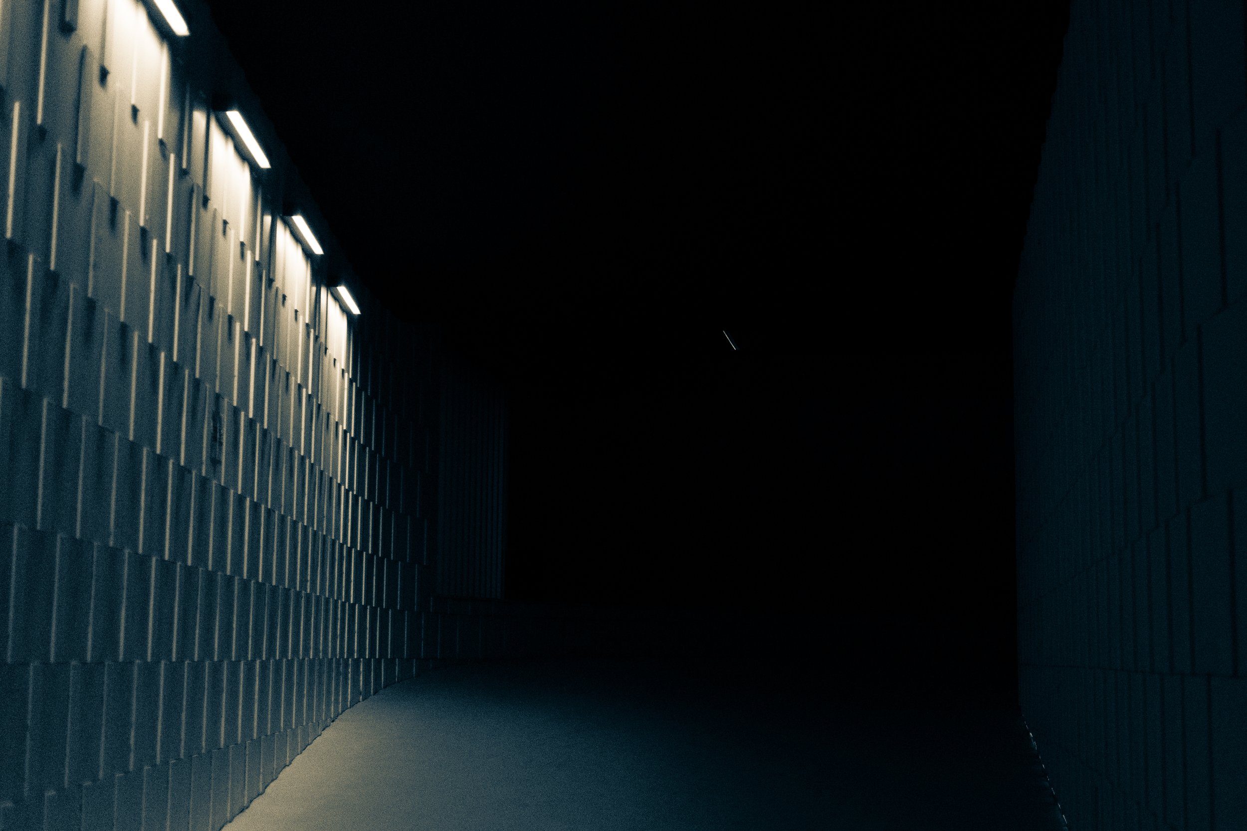 DSCF4165.jpg