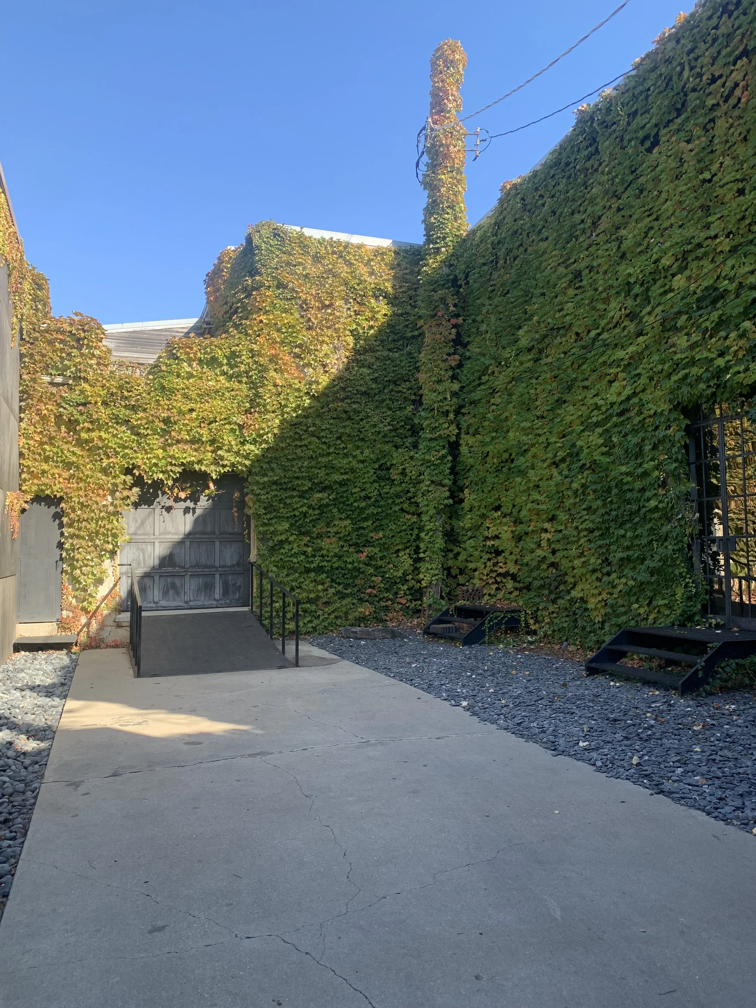 Charcoal Factory_Fall Foliage.jpg