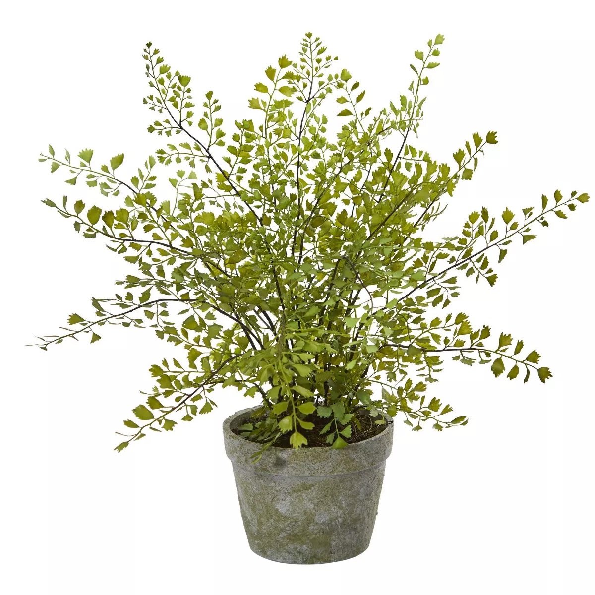 Faux 16" Fern