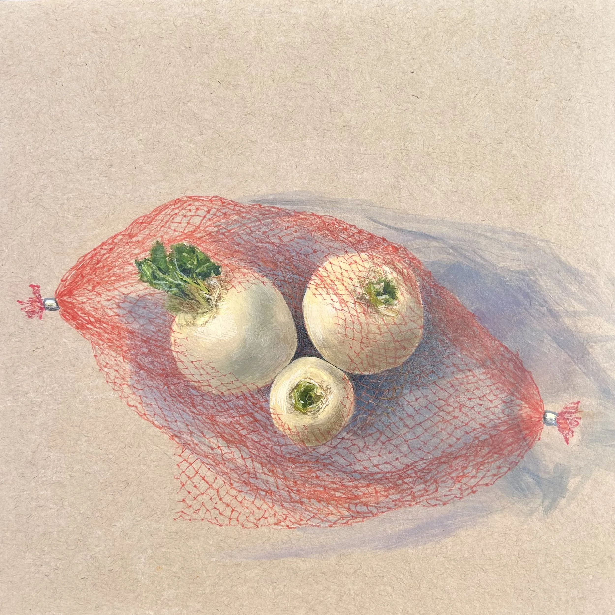  Red Plastic 
10" x 10"
GOUACHE + COLORED PENCIL ON PAPER