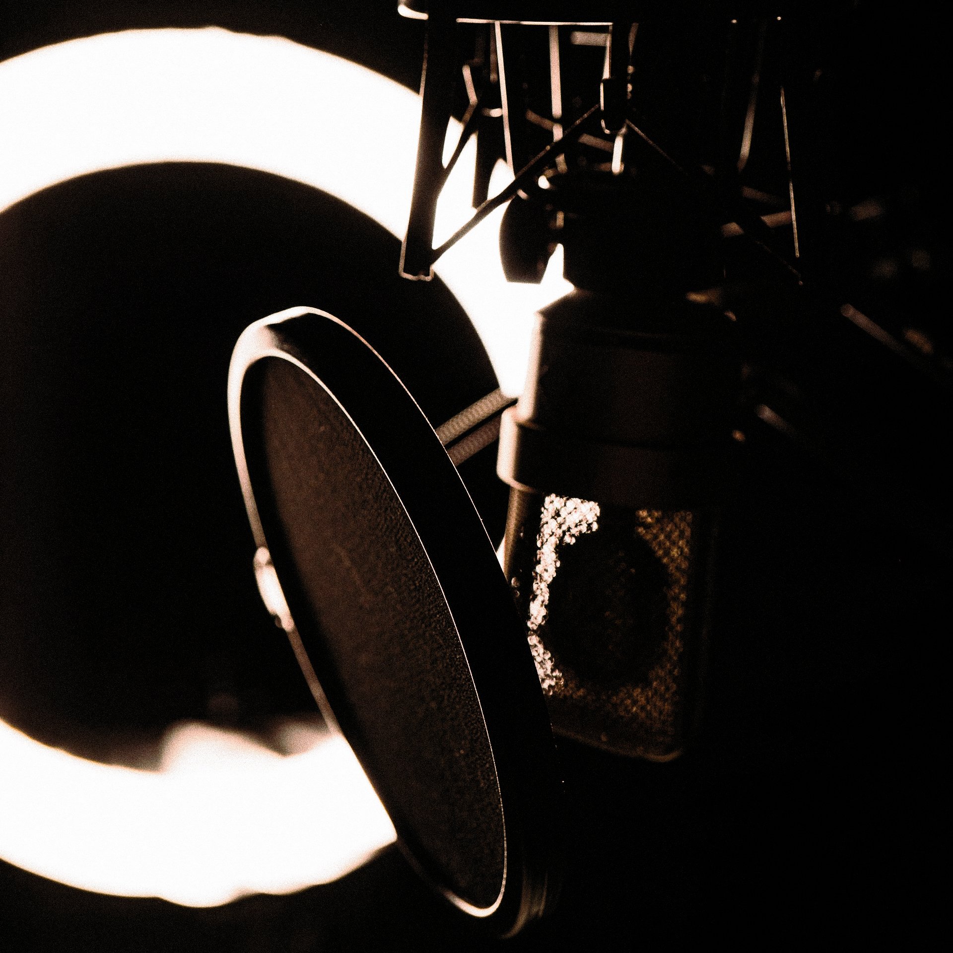 Within You (Studio Vocals)