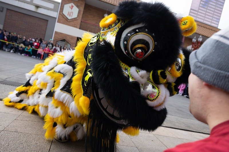 Portland's 2026 Lunar New Year Parade