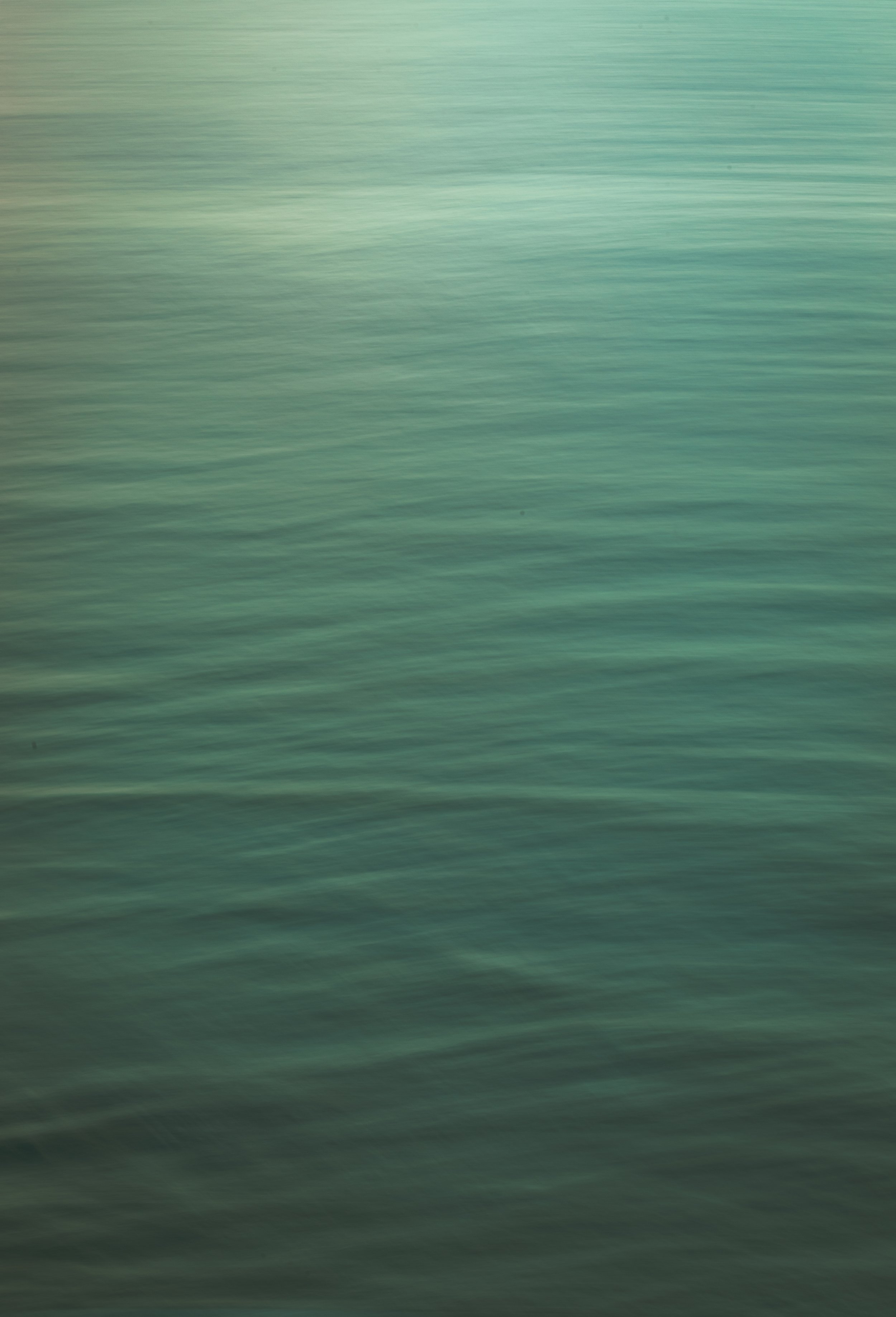 806A7173-16.jpg