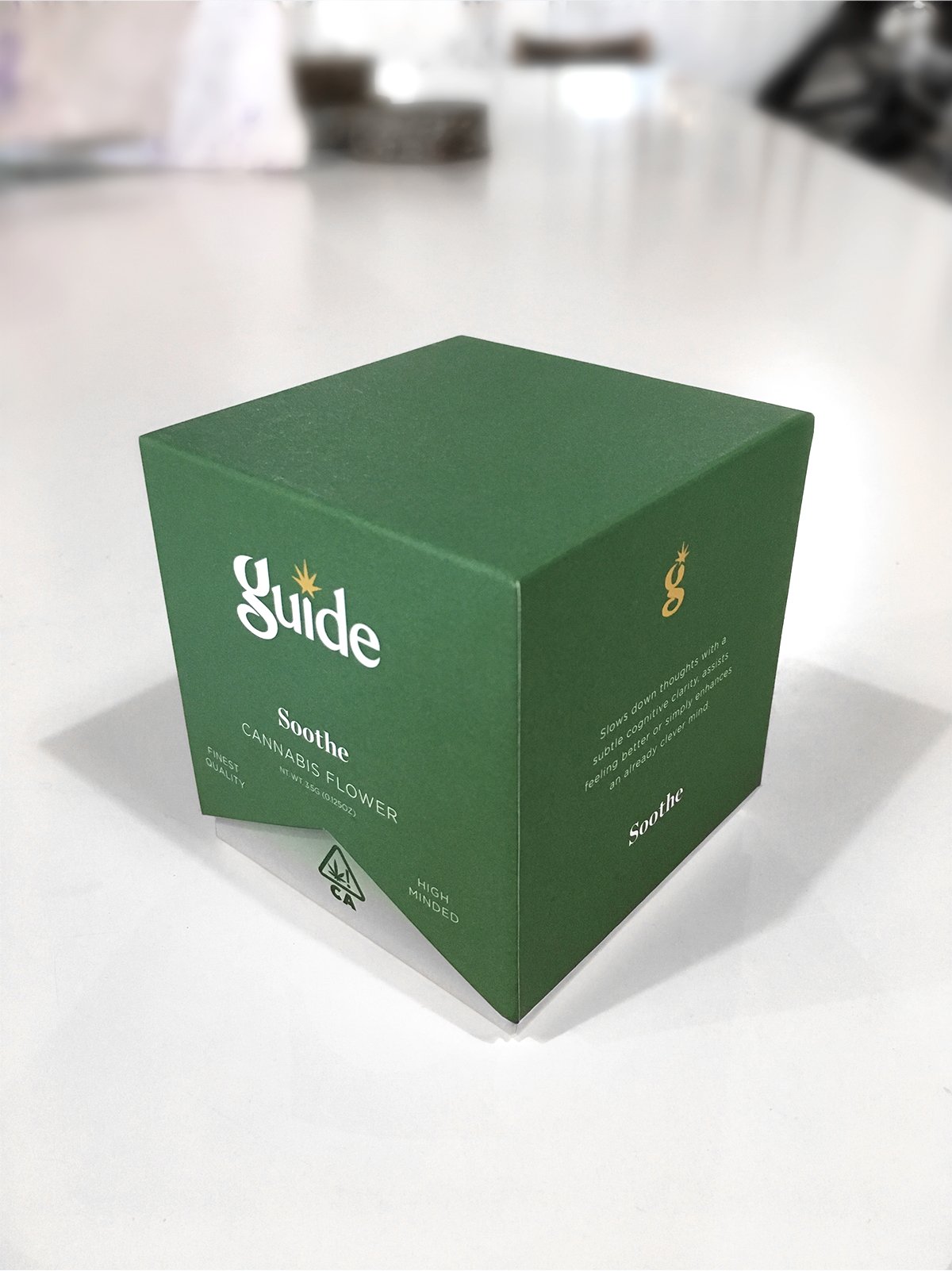 GUIDE_05.jpg